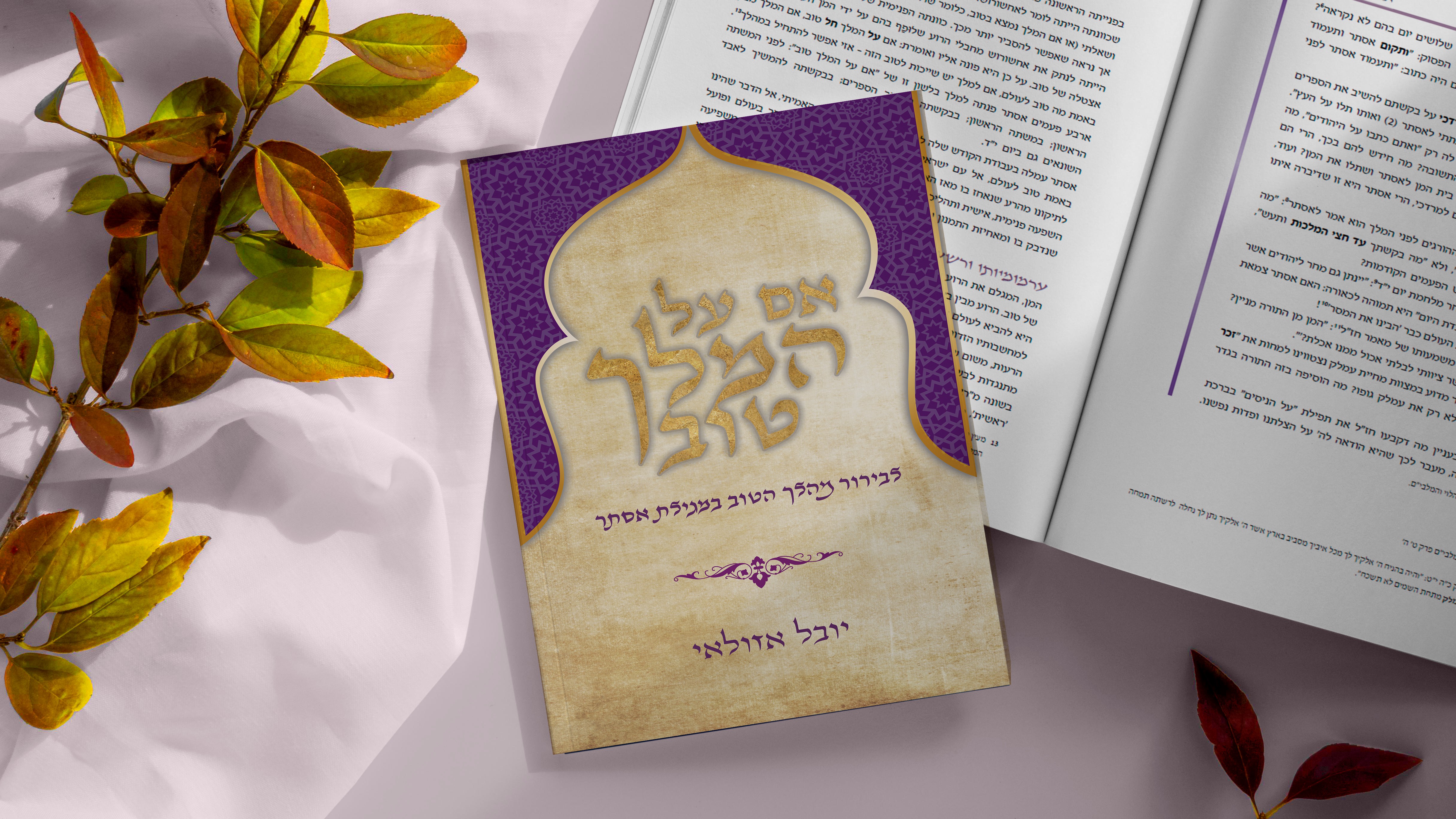 הדמיה אם על המלך כריכה.jpg