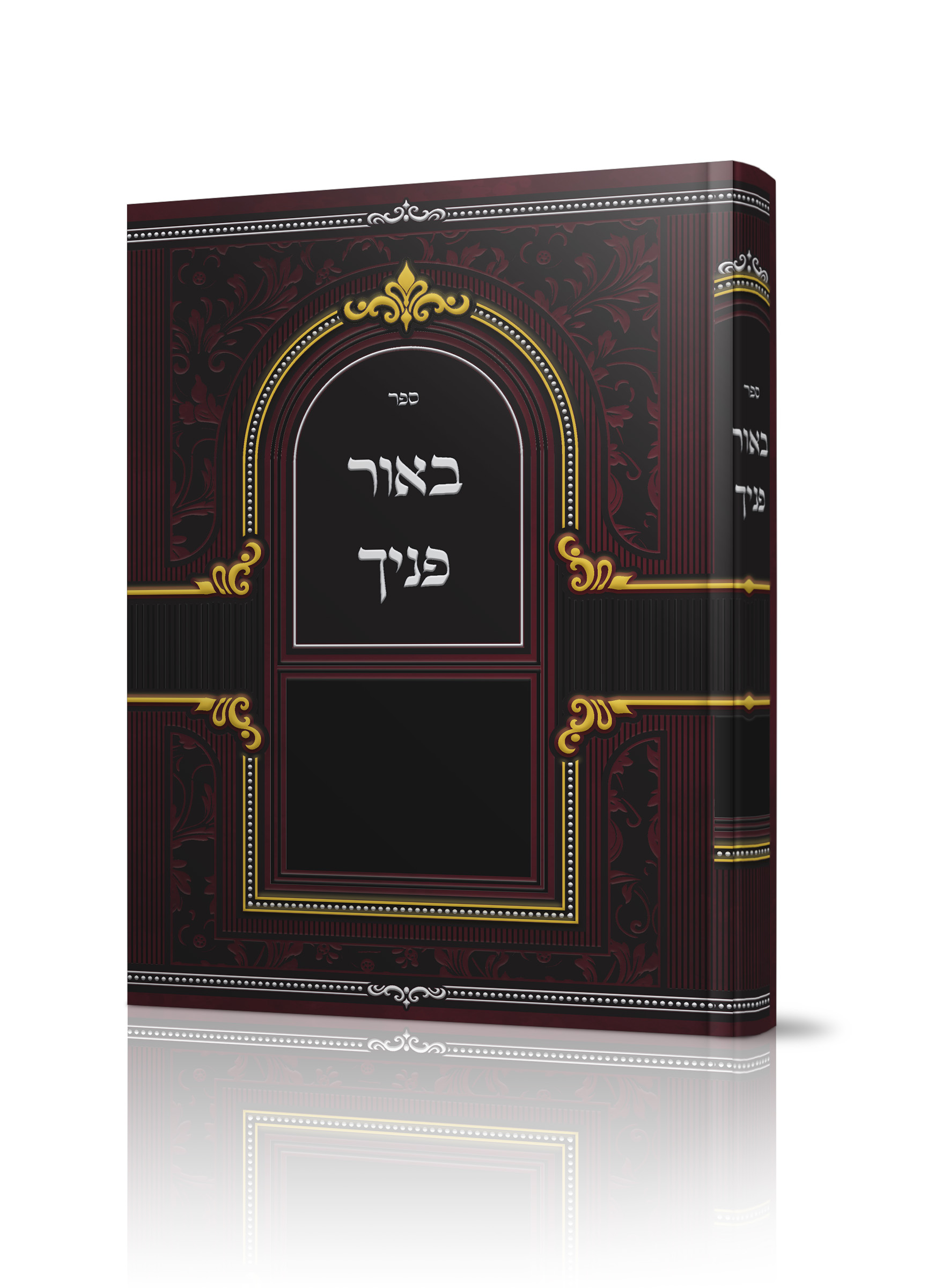 הדמיה באור פניך.jpg