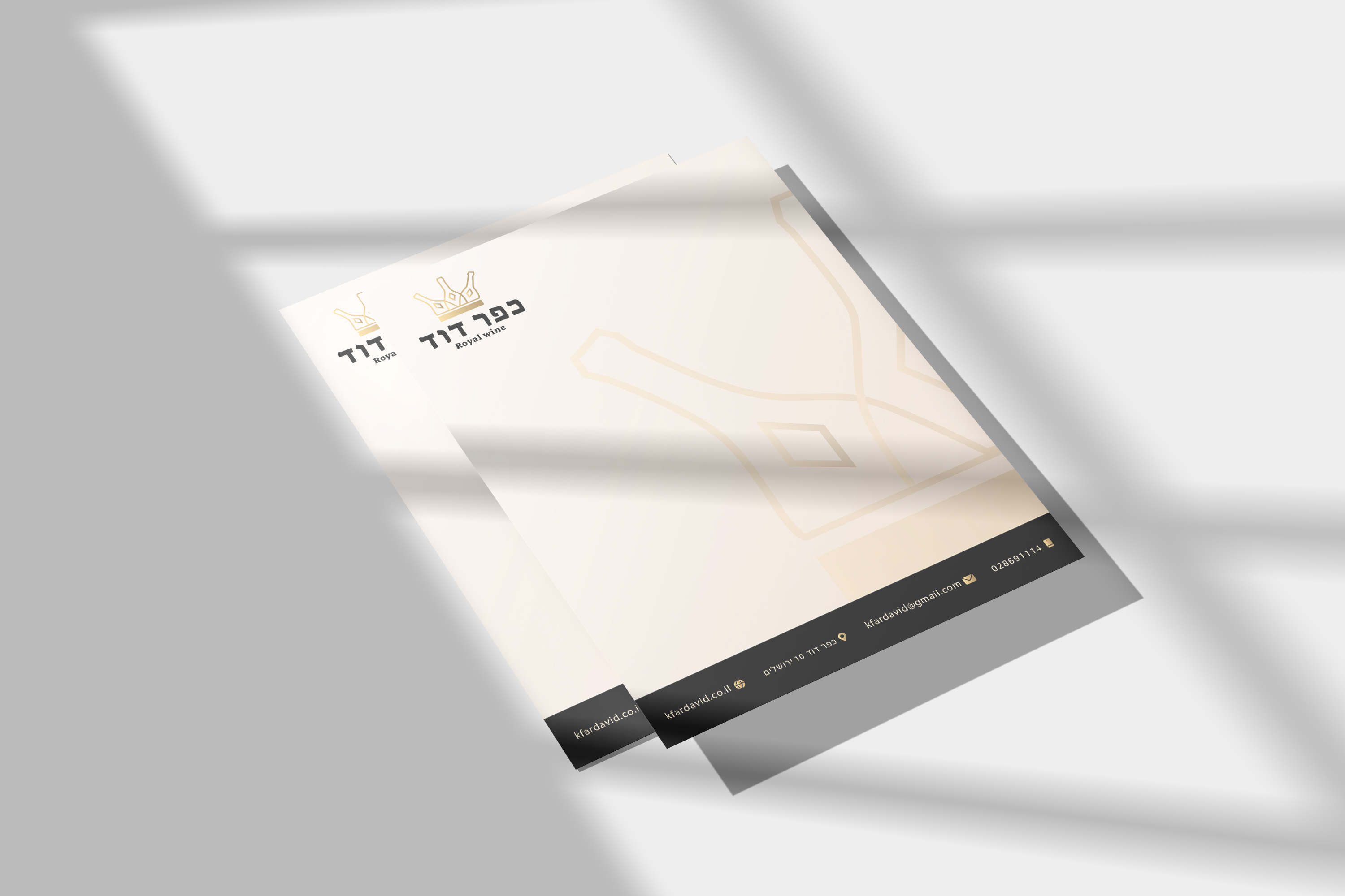 הדמיה - בלאנק.jpg