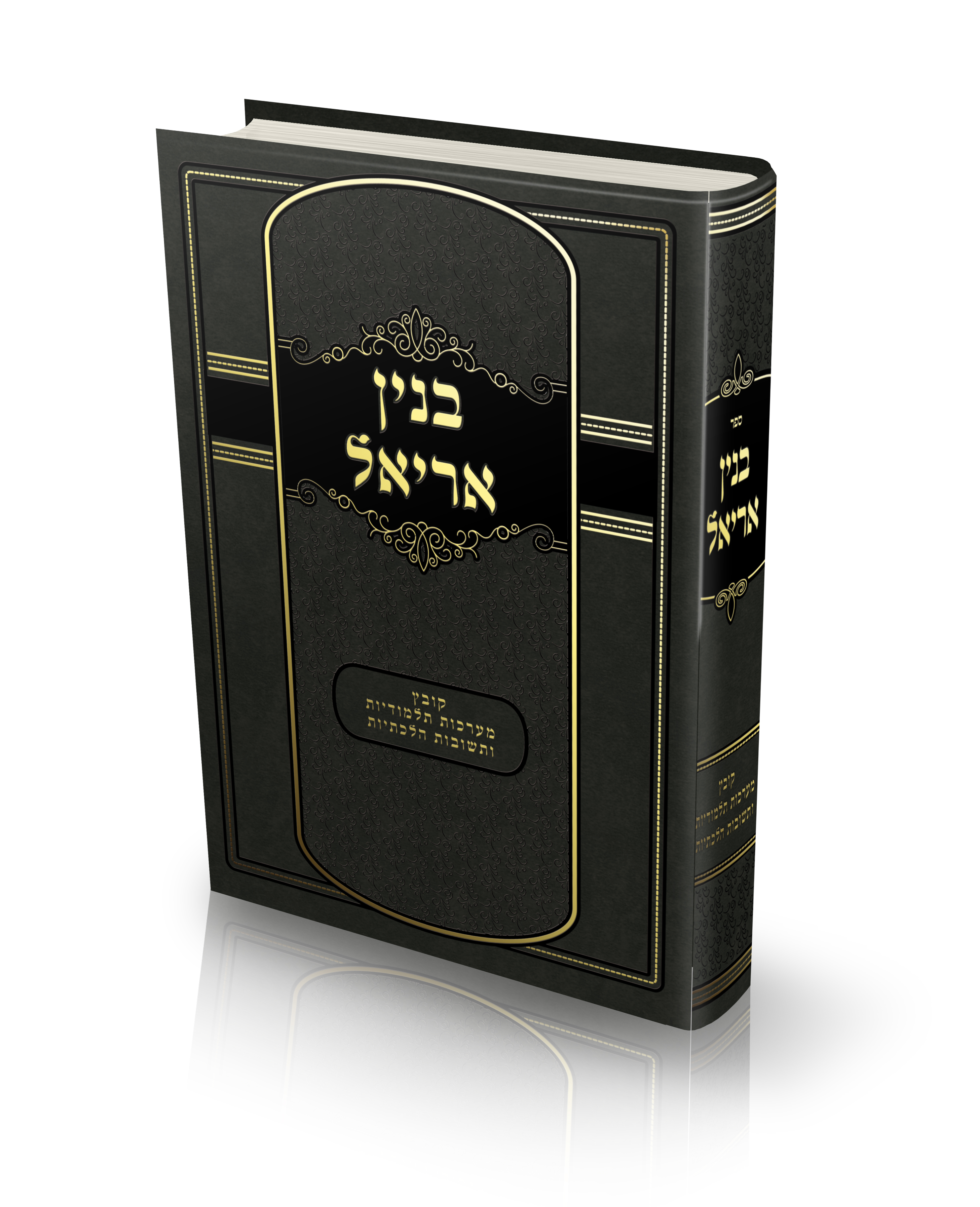 הדמיה בנין אריאל