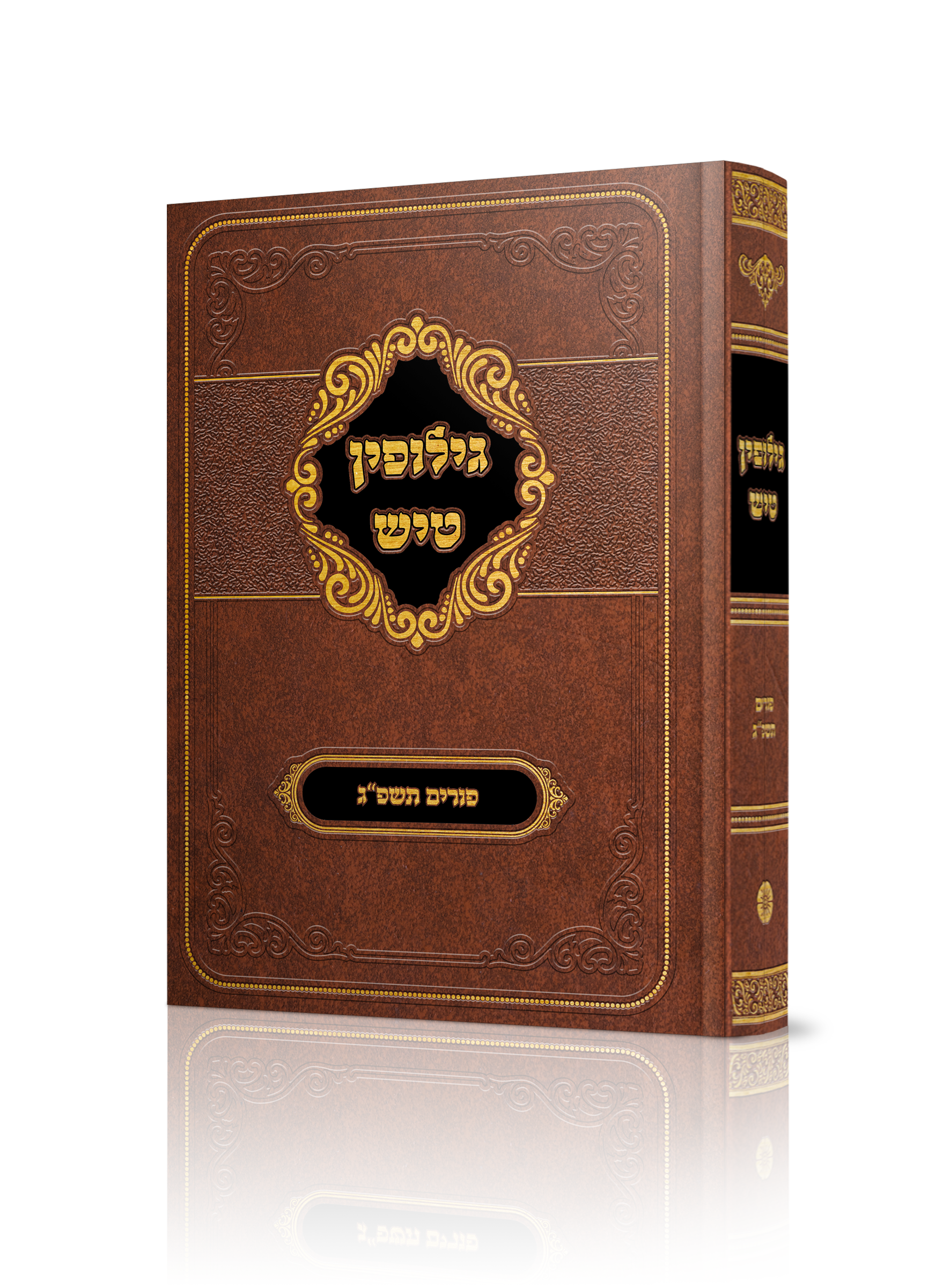 הדמיה גלופה.png