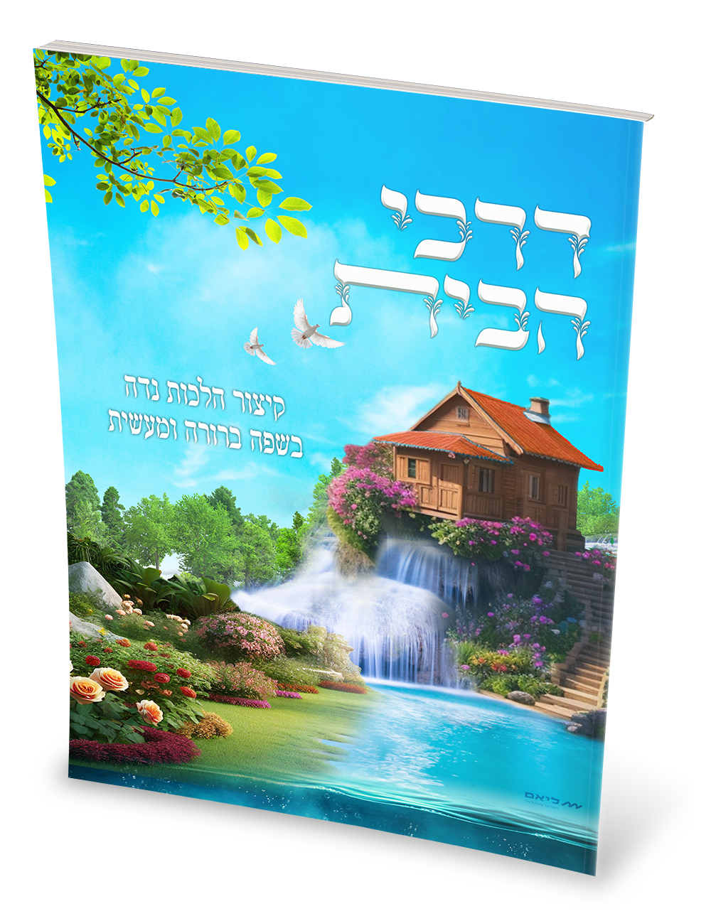 הדמיה דרכי הבית.png