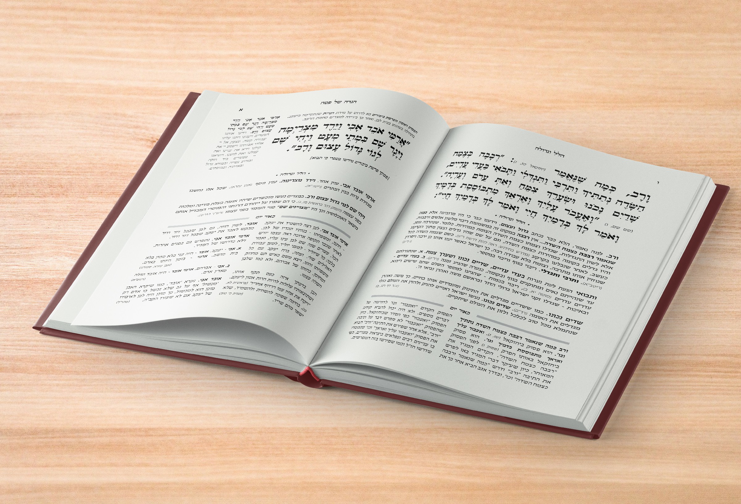 הדמיה הגדה של פסח