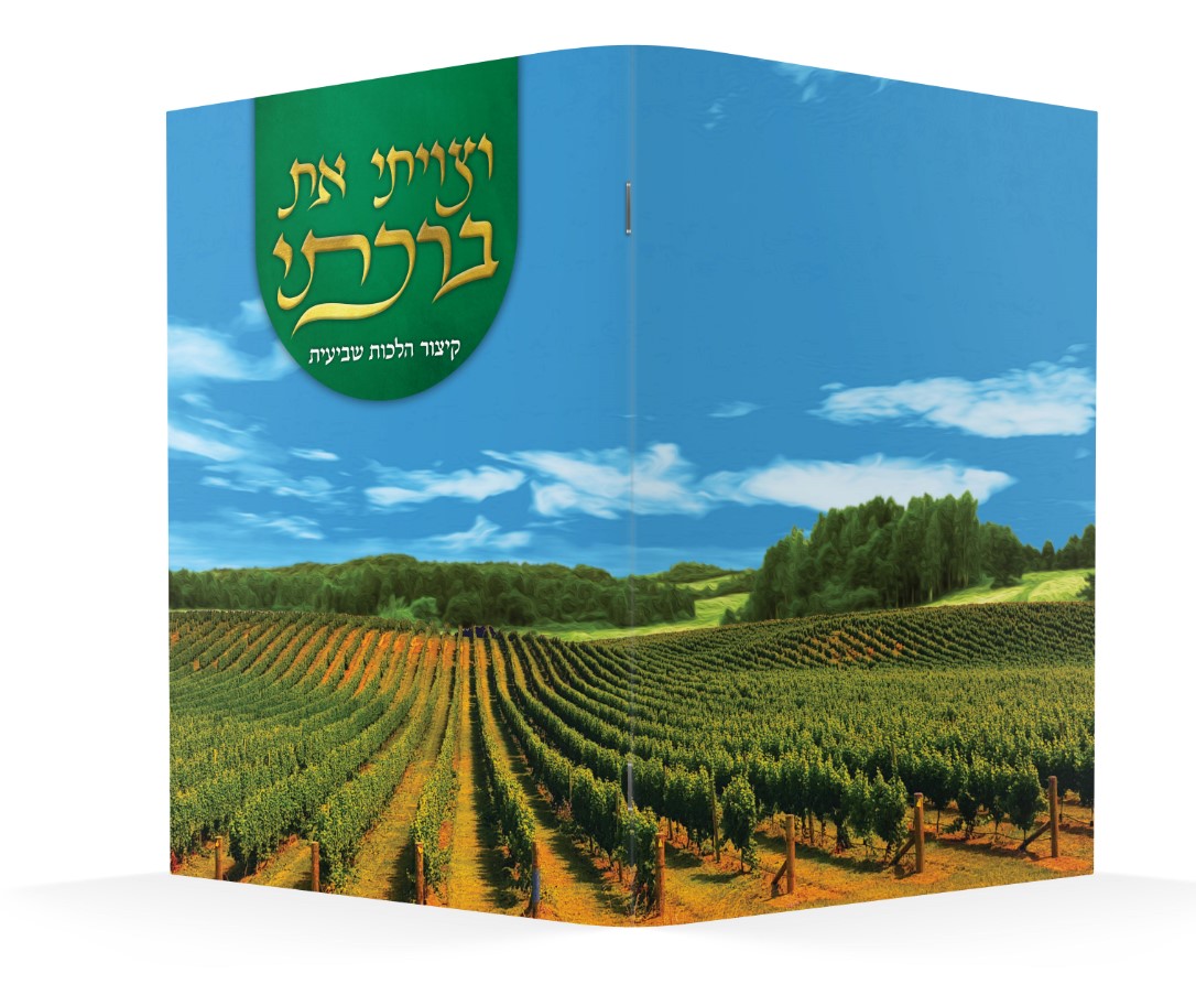 הדמיה וציויתי את ברכתי.jpg