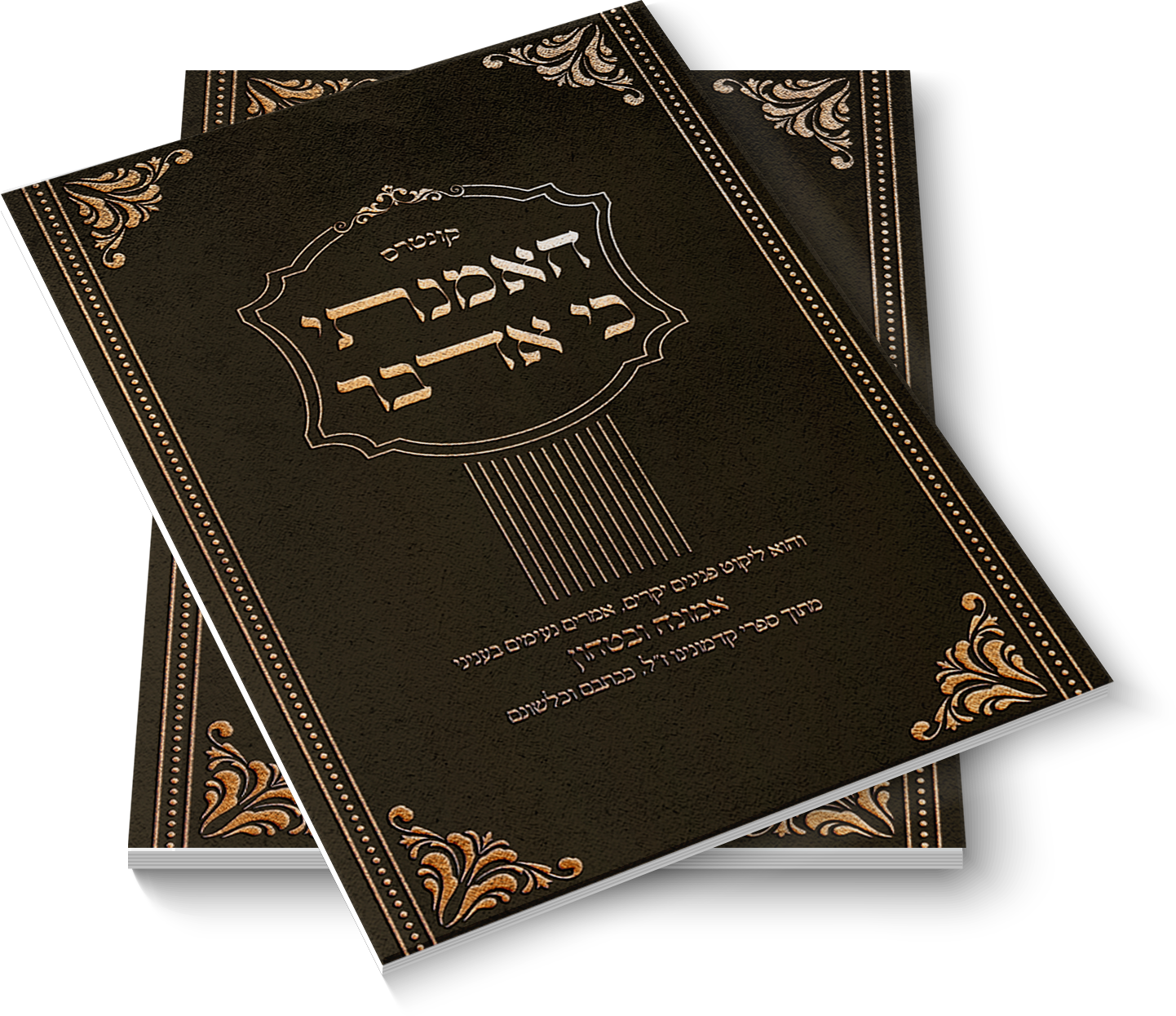 הדמיה חוברות האמנתי.png