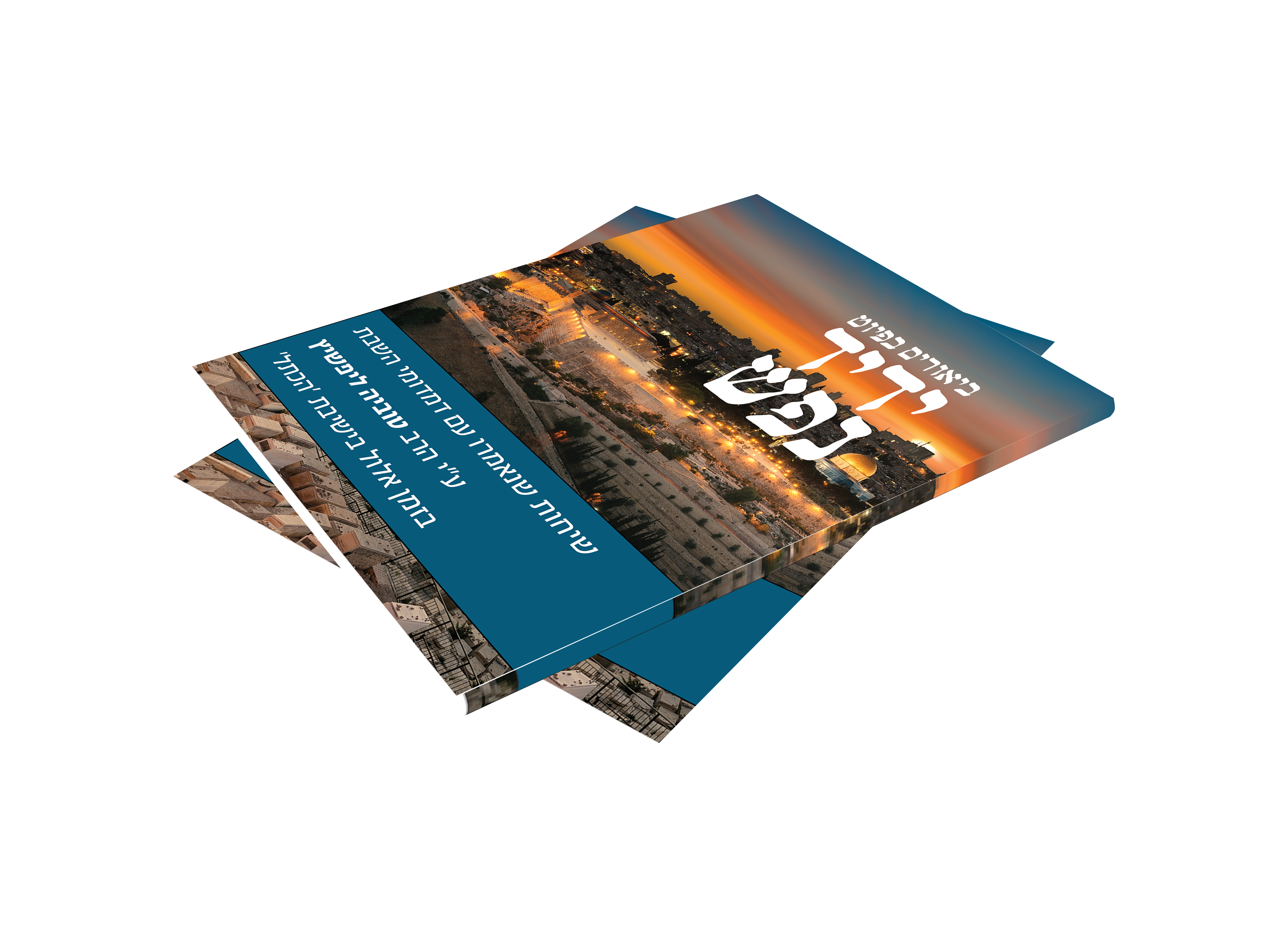 הדמיה ידיד נפש.png