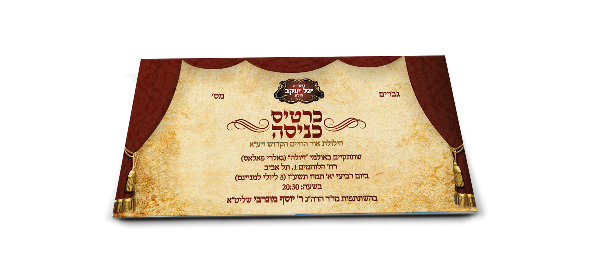 הדמיה כרטיס כניסה 3