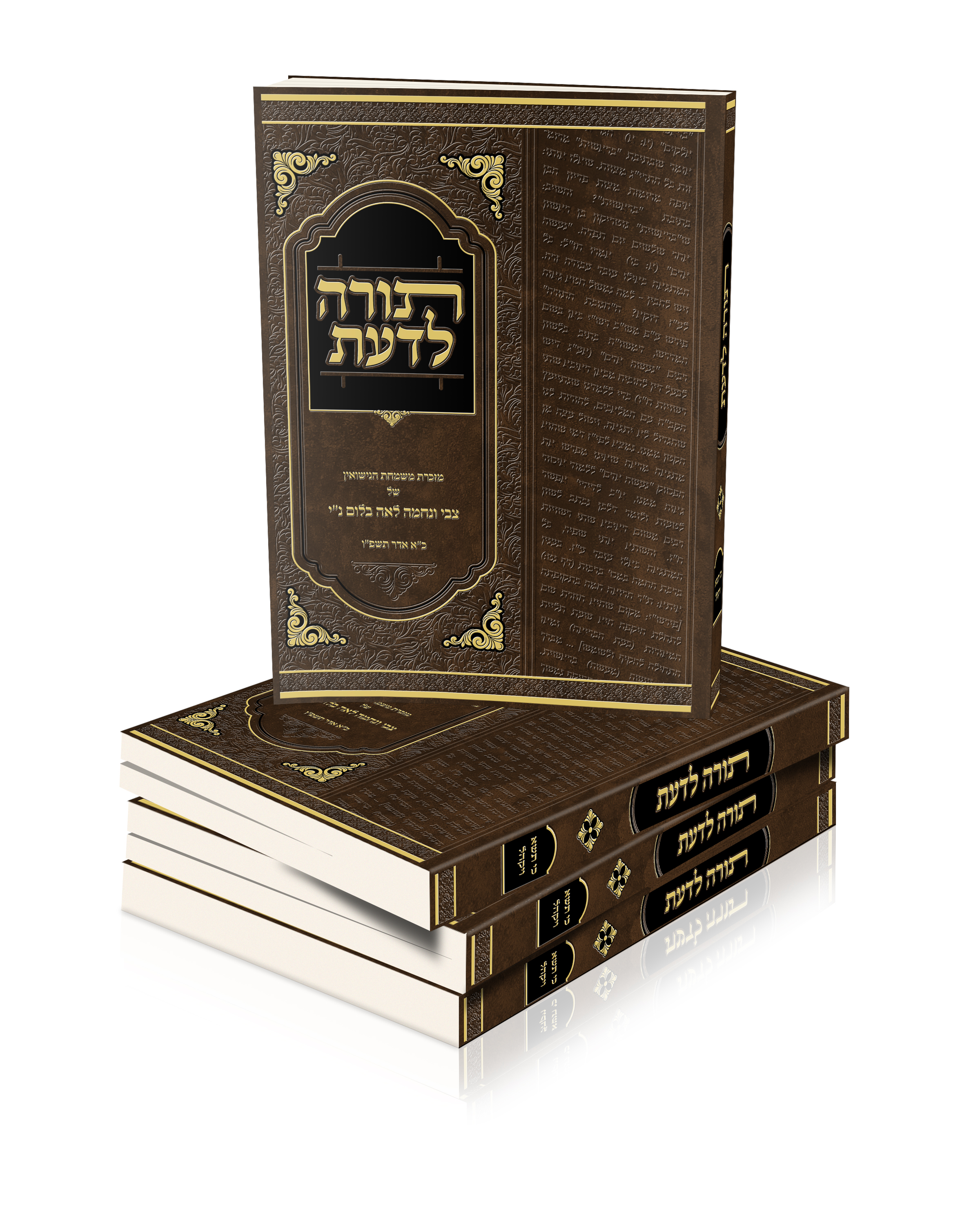 הדמיה כריכה רכה.jpg