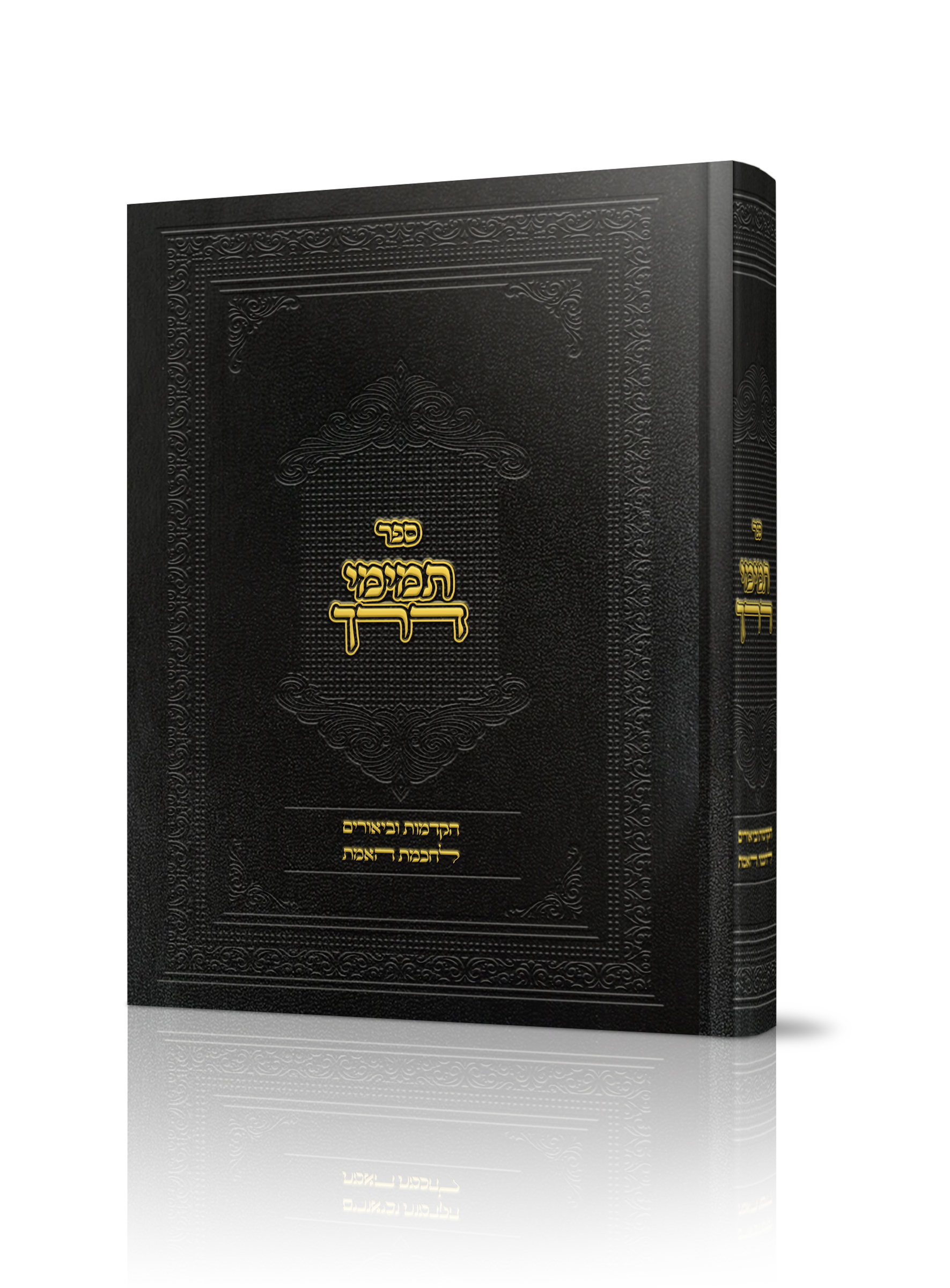 הדמיה כריכה 2 גלופות_1.jpg