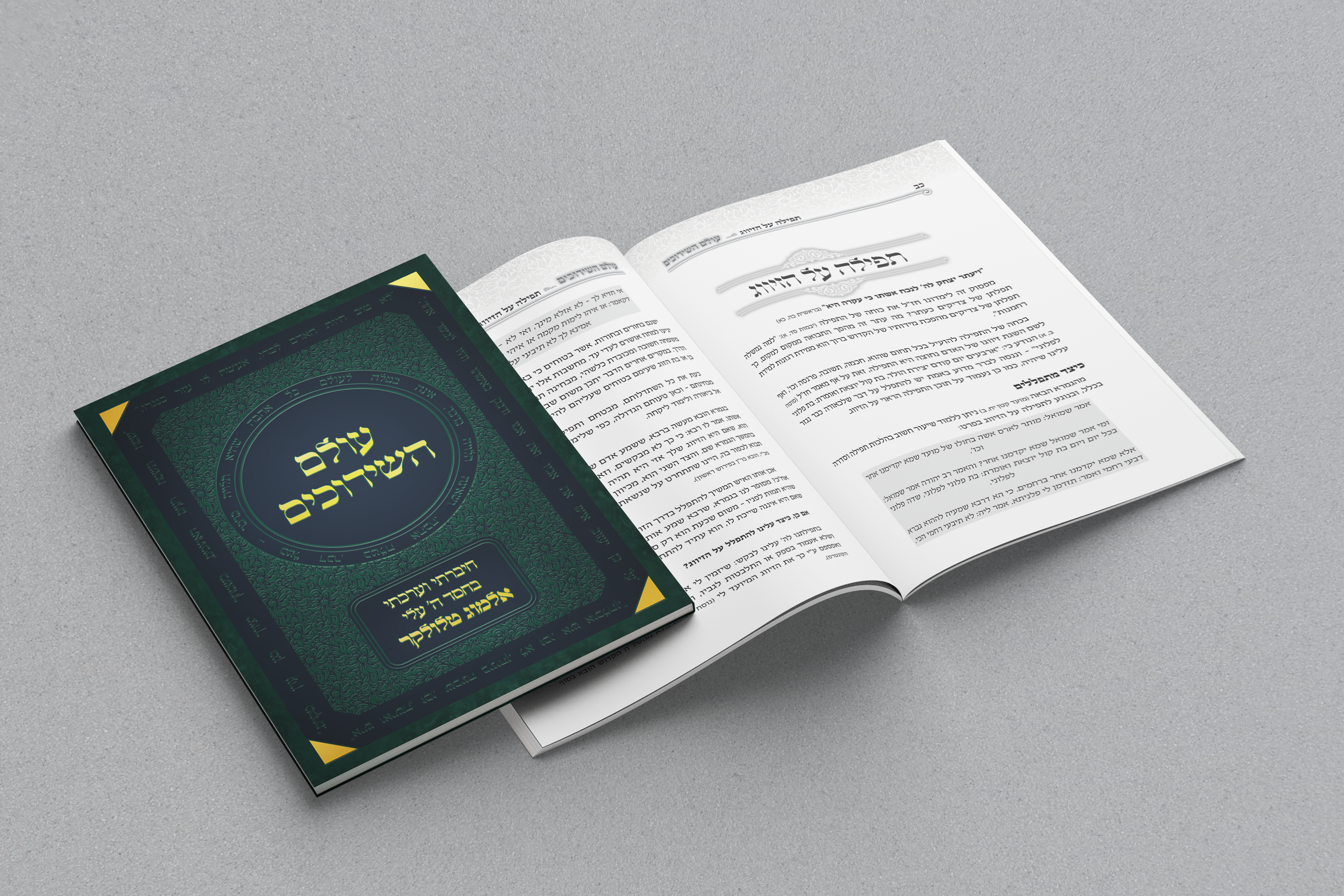 הדמיה כריכה.png