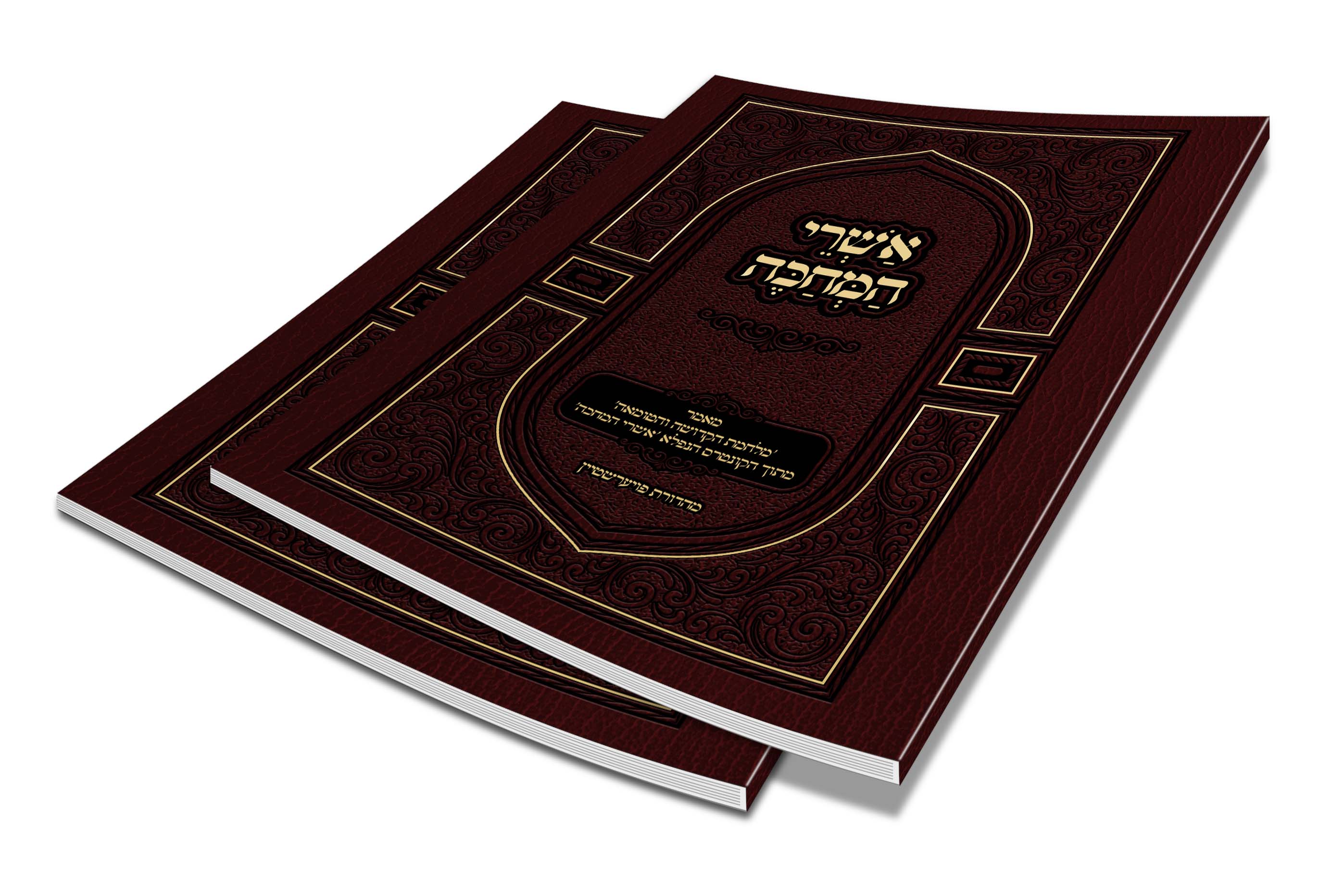 הדמיה כריכה