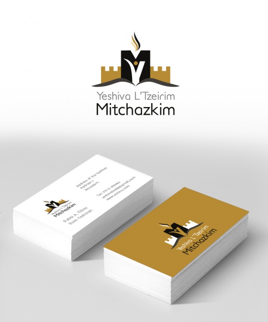 הדמיה ללוגו6