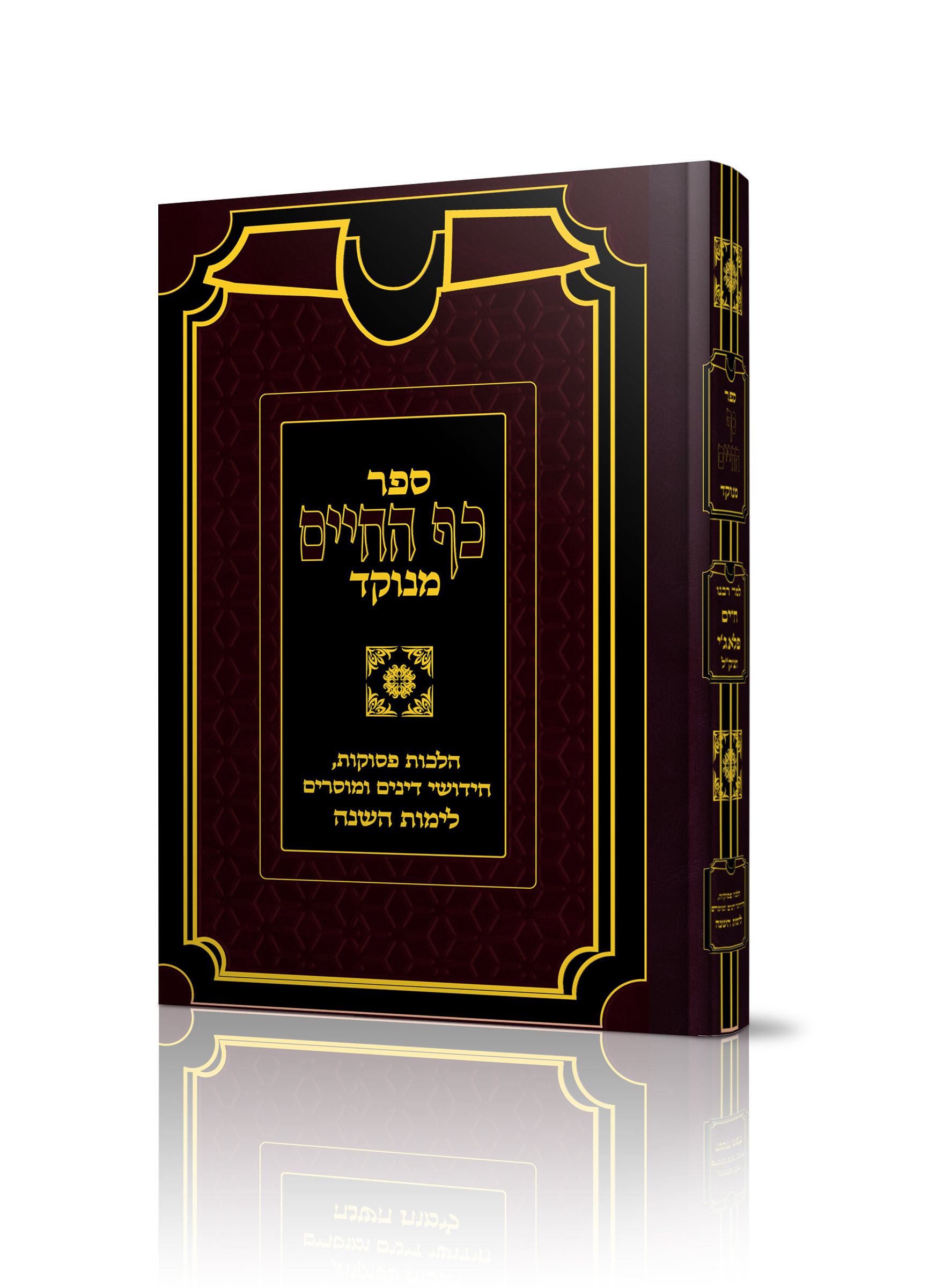 הדמיה לספר כף החיים.jpg