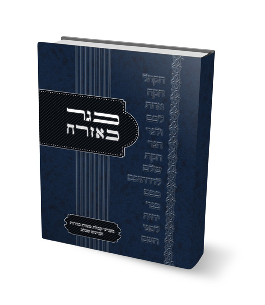 הדמיה לספר1