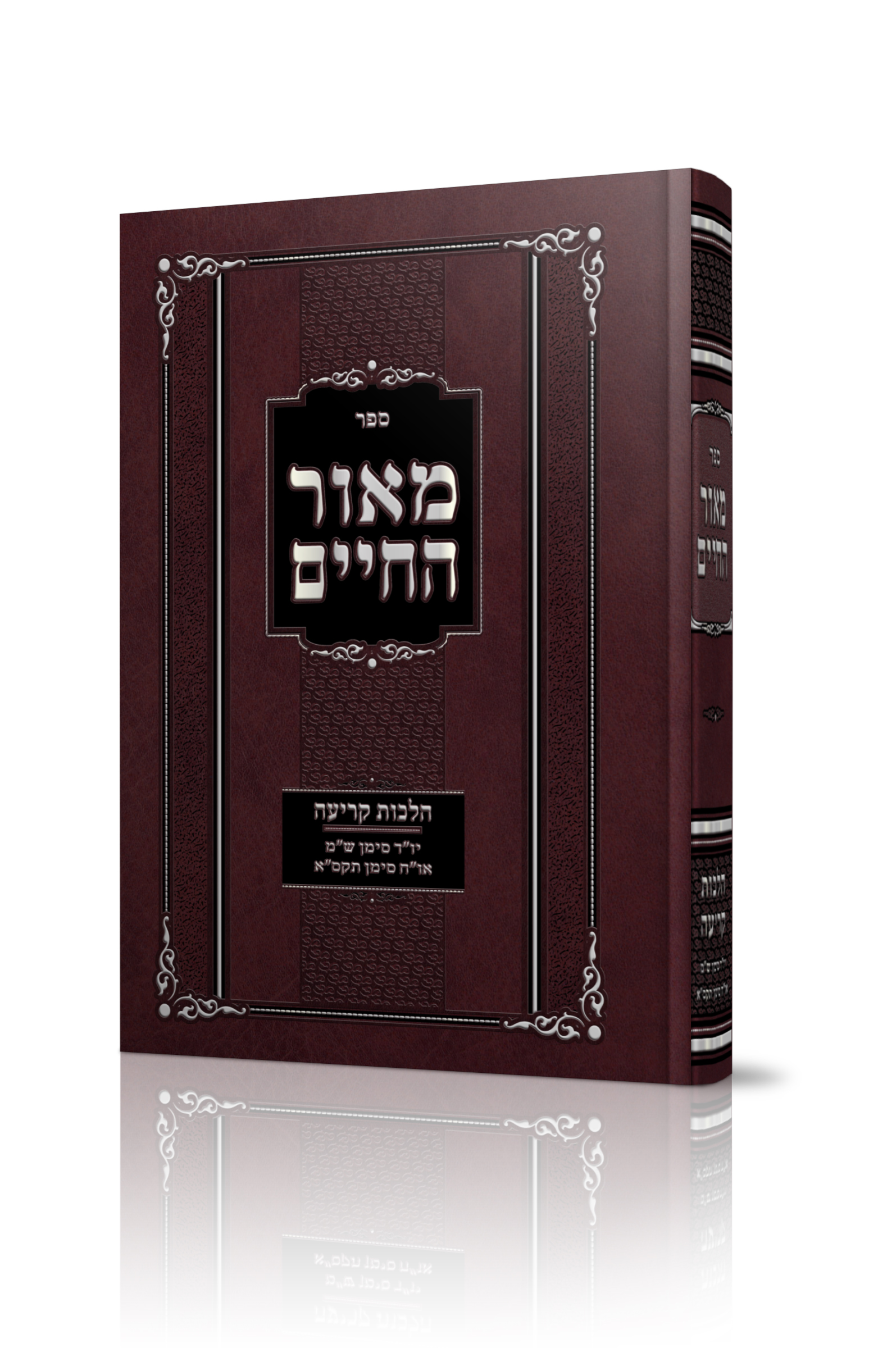 הדמיה מאור החיים