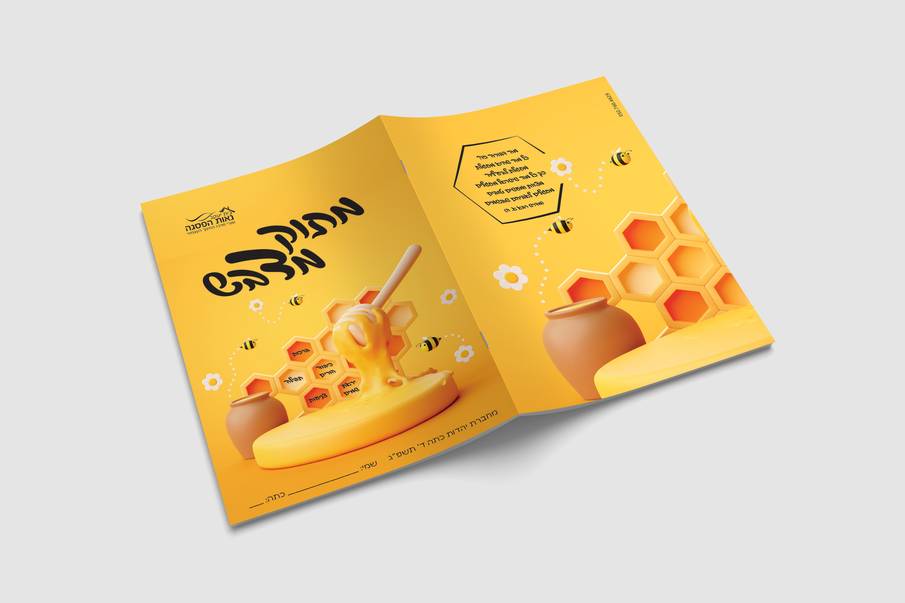 הדמיה מחברת.jpg