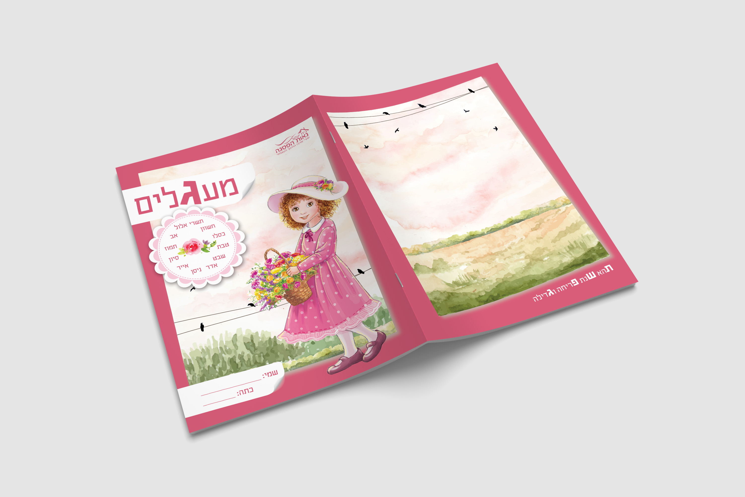 הדמיה מחברת.jpg