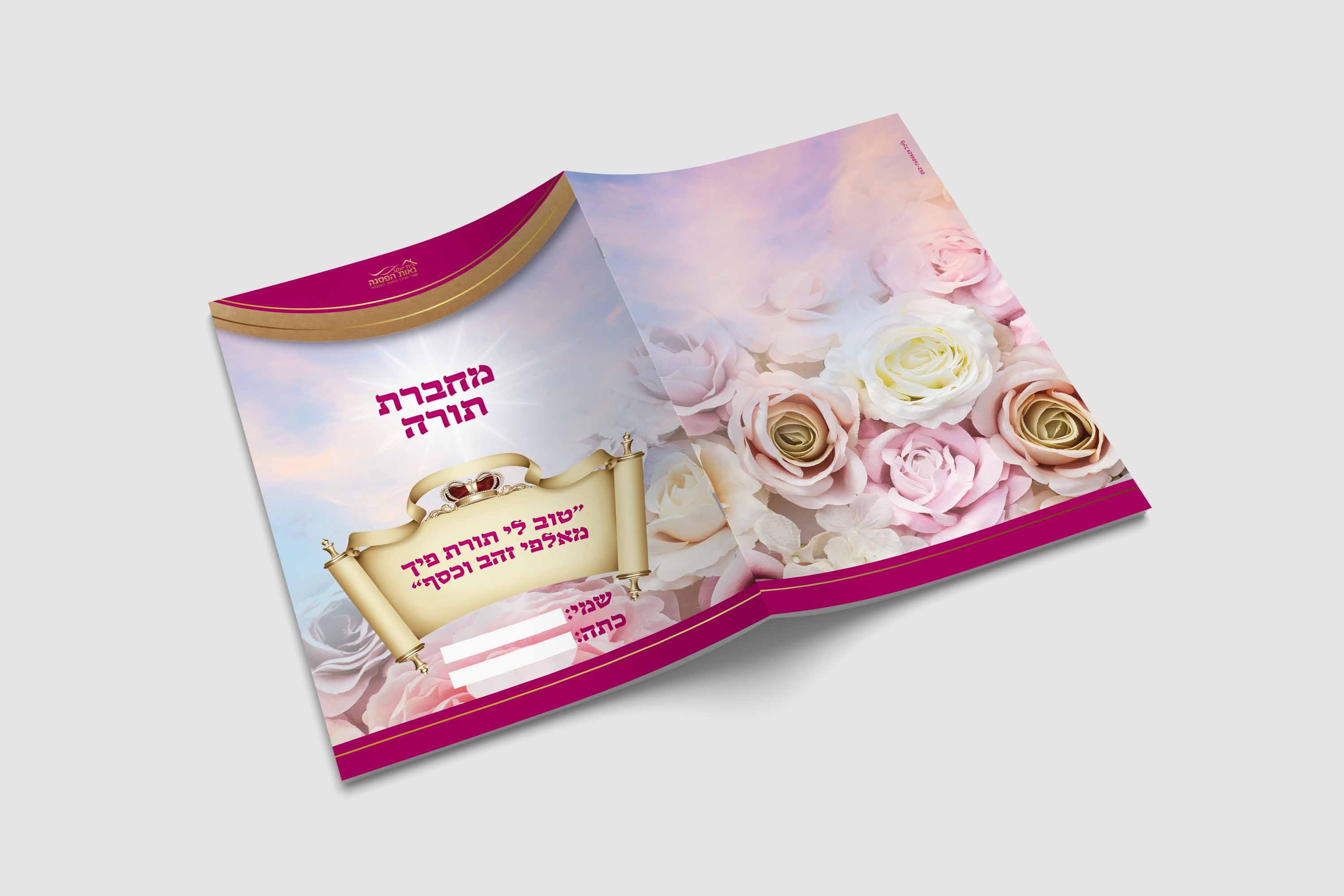 הדמיה מחברת.jpg