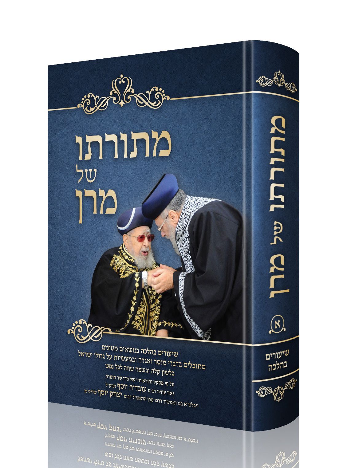 הדמיה מתורתו.jpg