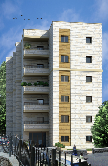 הדמיה ניסנבוים