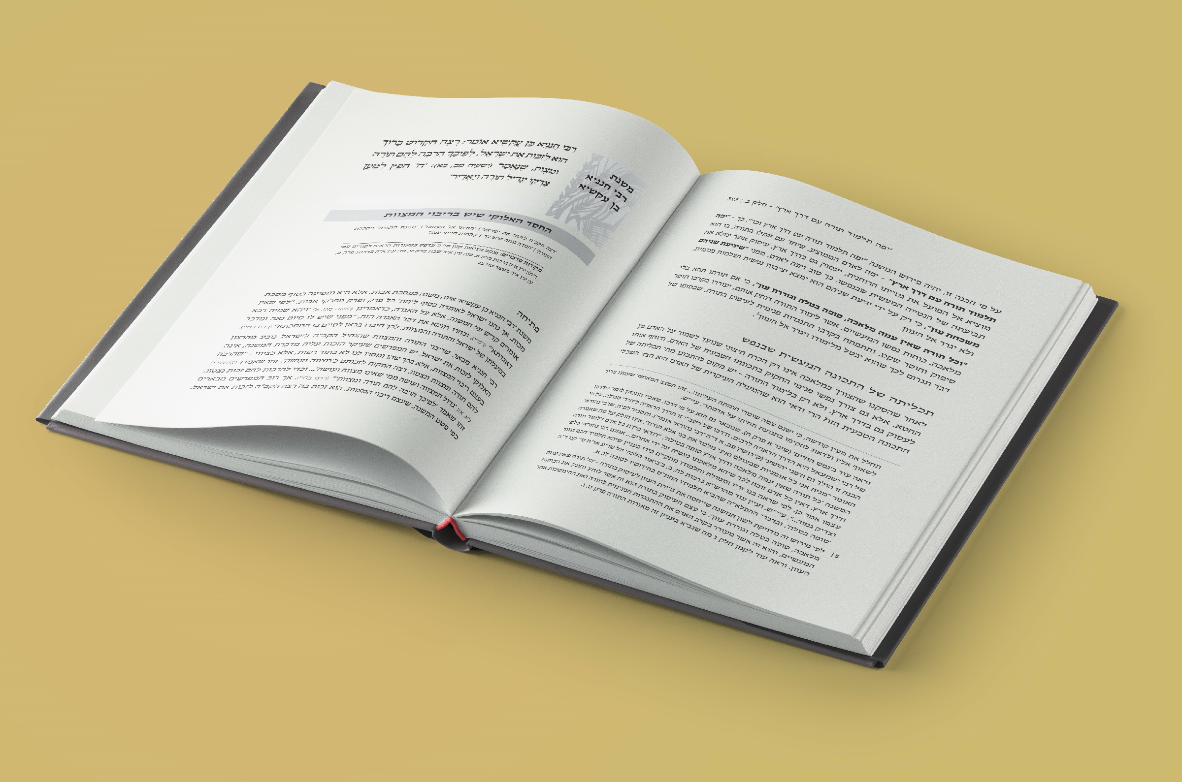 הדמיה-נלכה עד הרואה~1.jpg