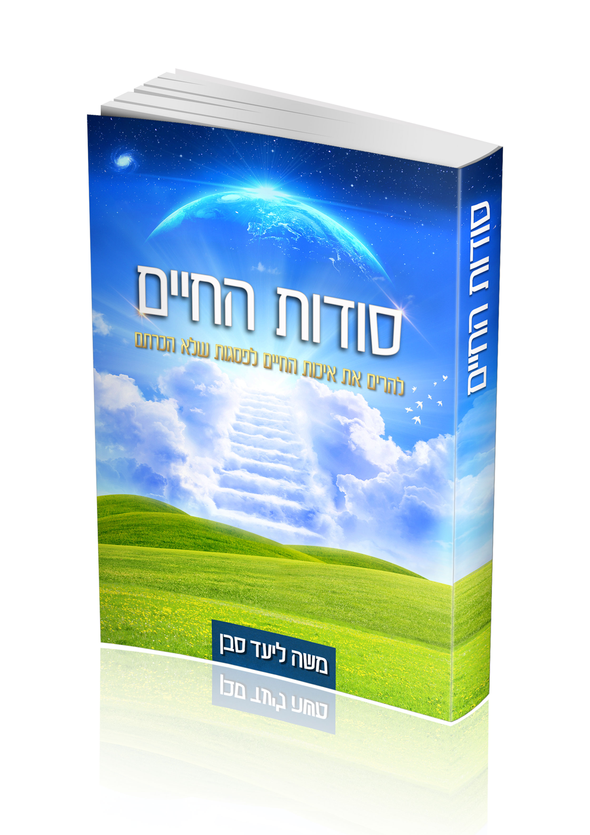 הדמיה סודות החיים.jpg