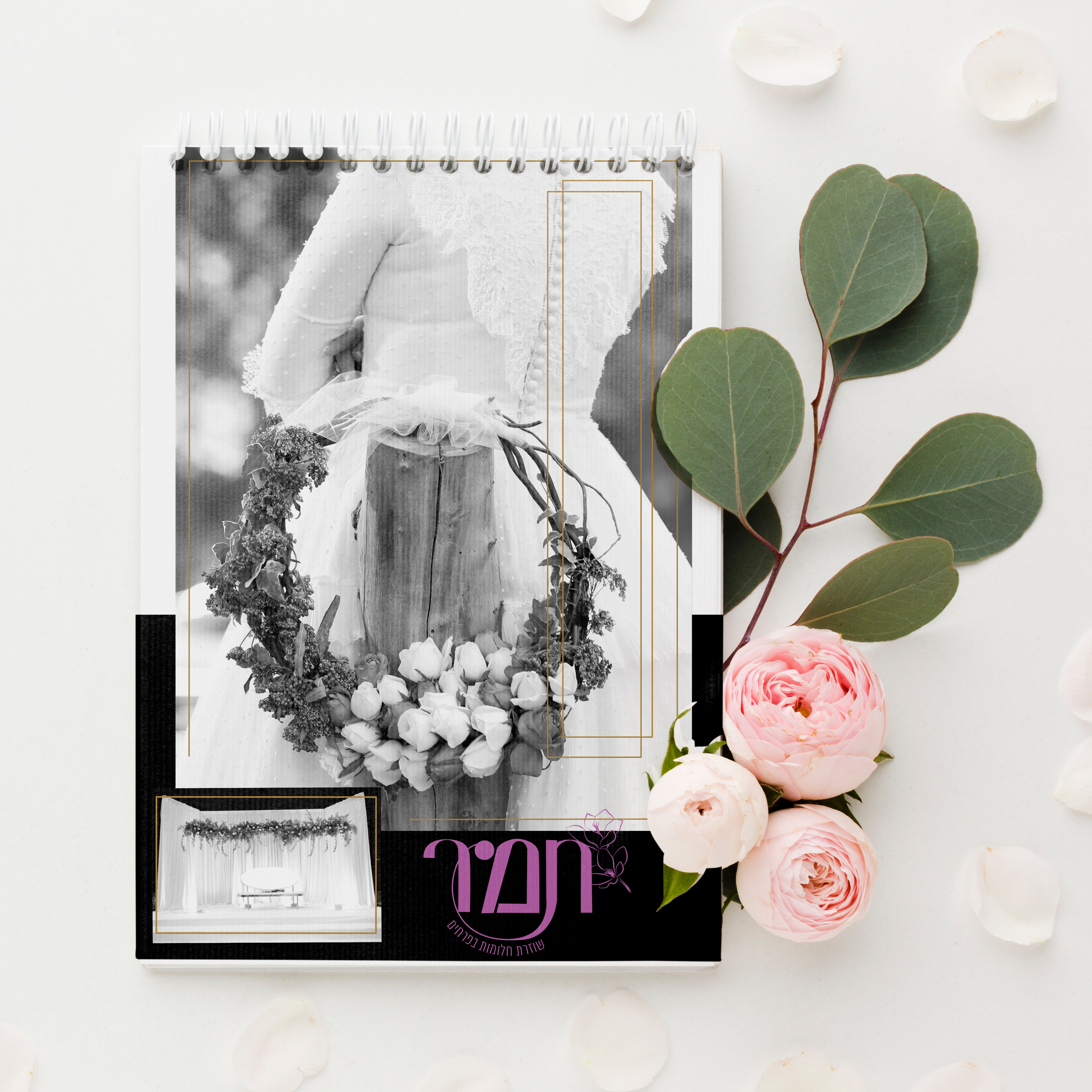 הדמיה ספירלה.jpg