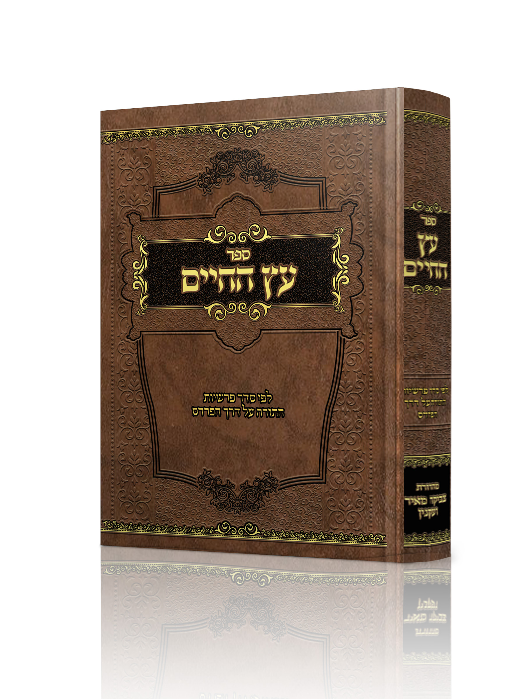 הדמיה ספר עץ החיים.jpg