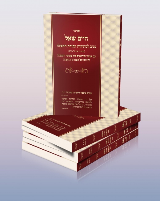 הדמיה עטיפה 2