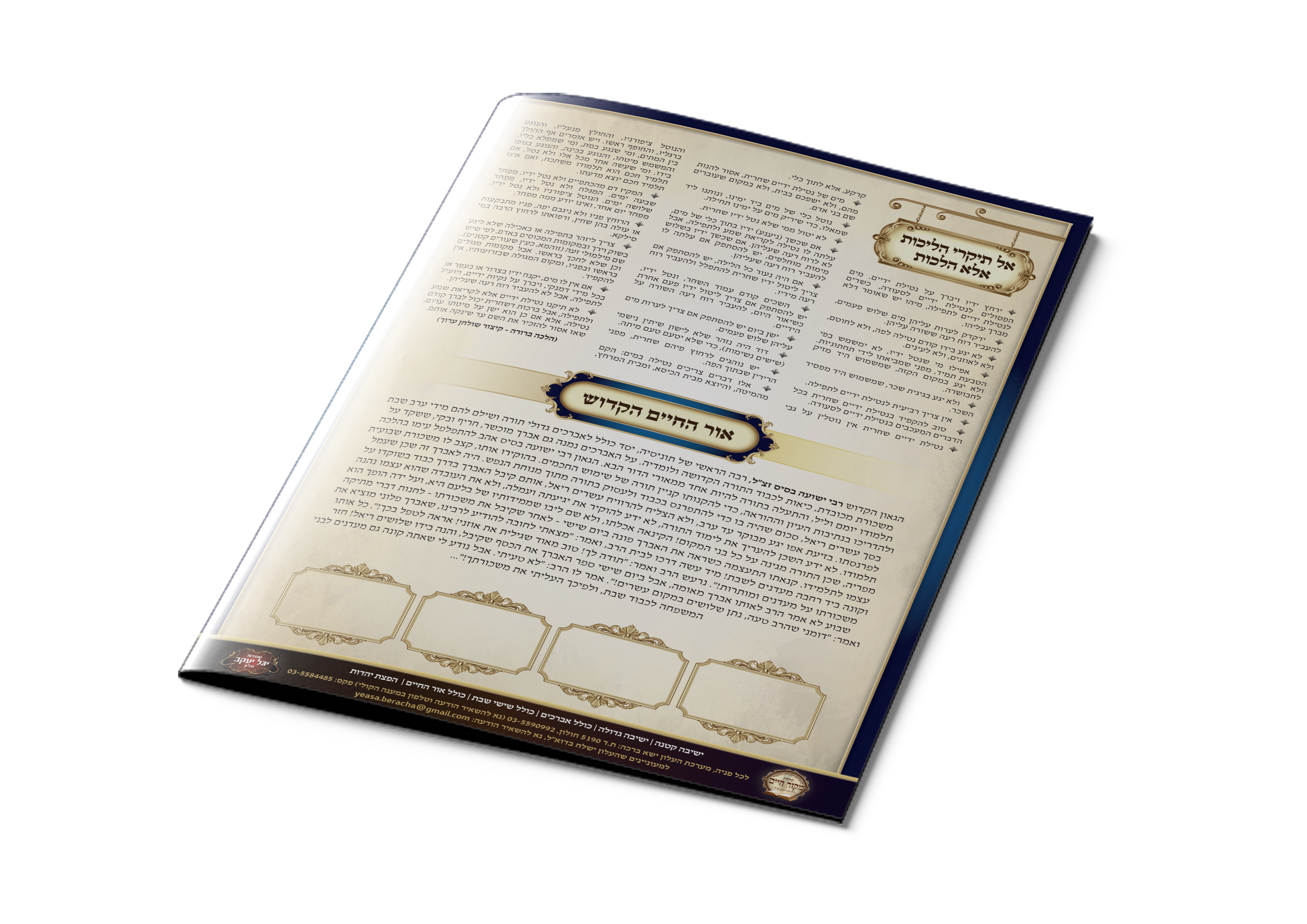 הדמיה עלון אחורי- מחודש