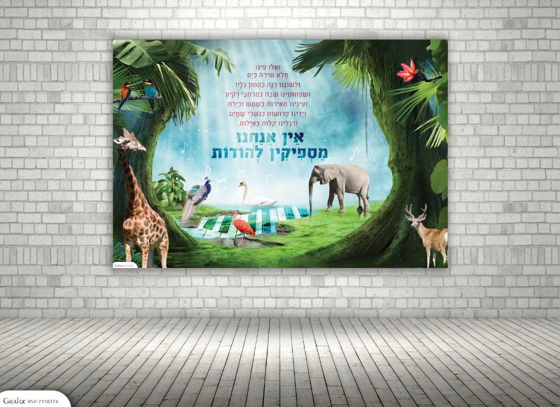 הדמיה פוסטר אין אנחנו מספיקין להודות.jpg