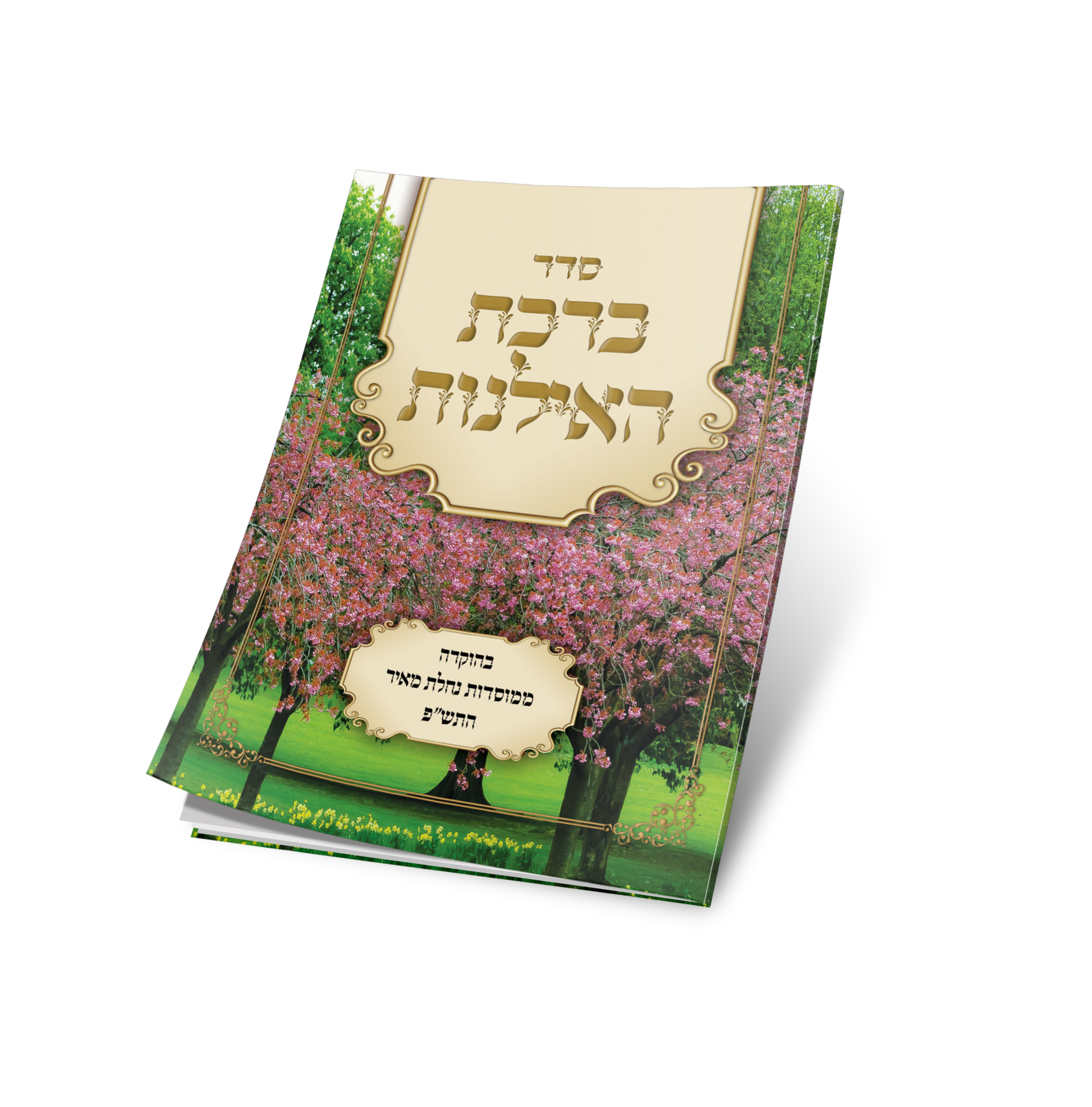 הדמיה קנטרס ברכת האילנות.png