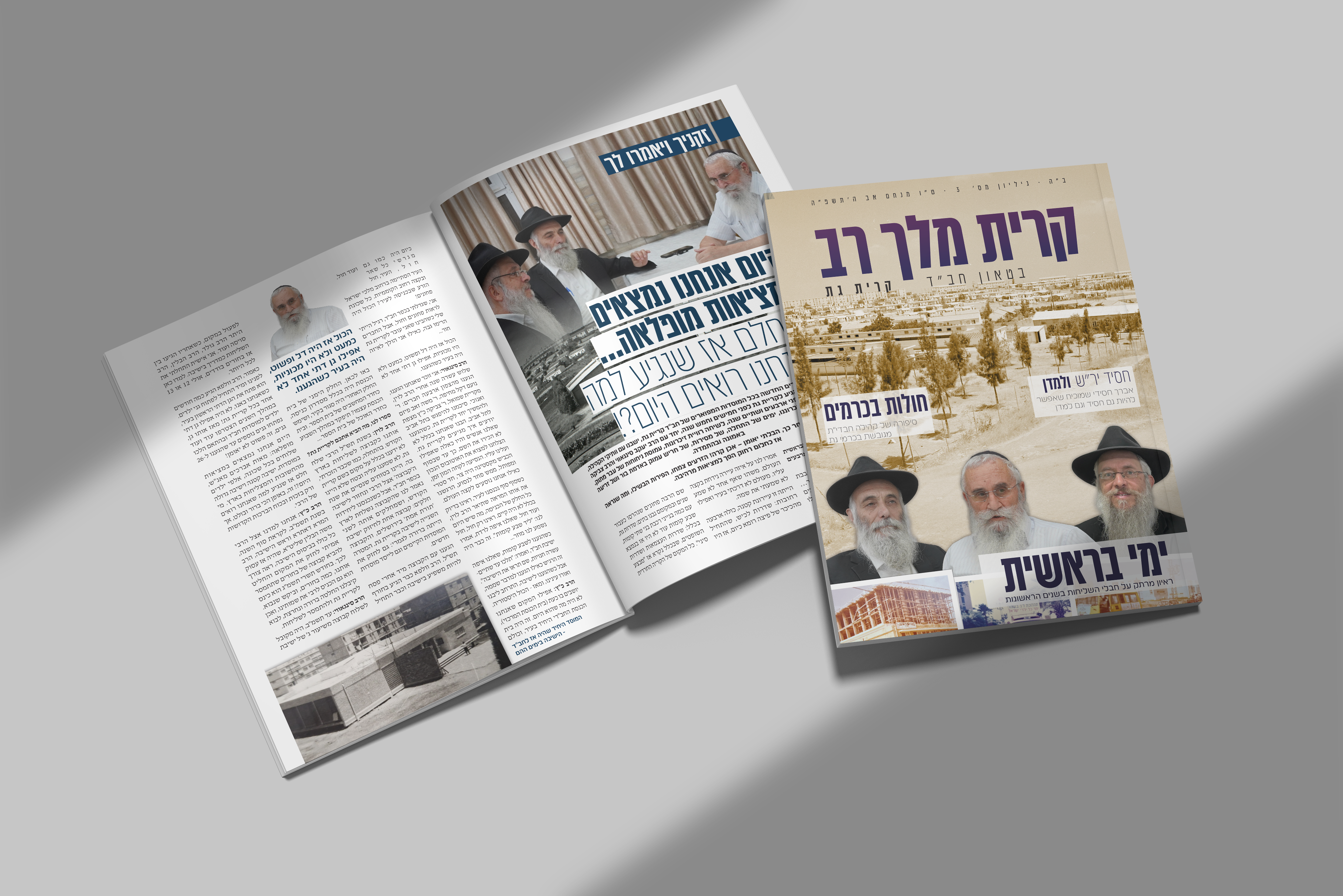 הדמיה קרית מלך רב.png