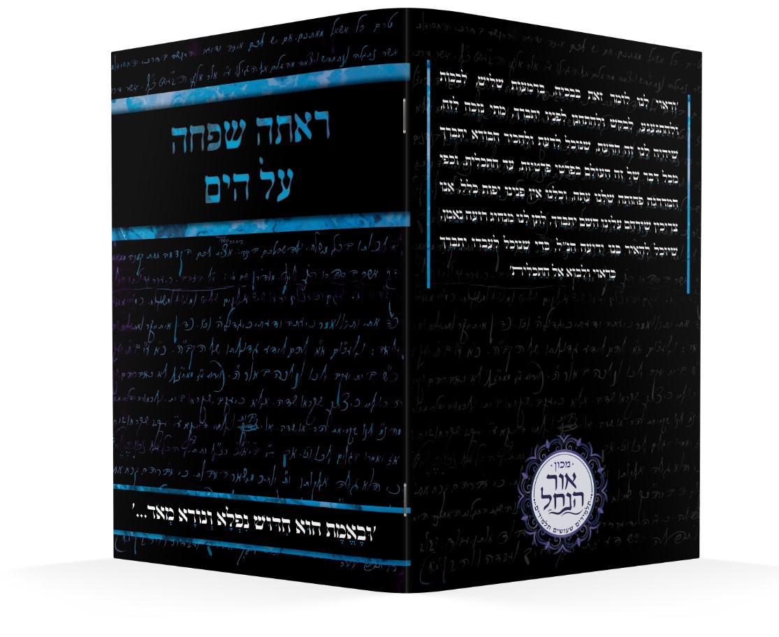 הדמיה ראתה שפחה.jpg