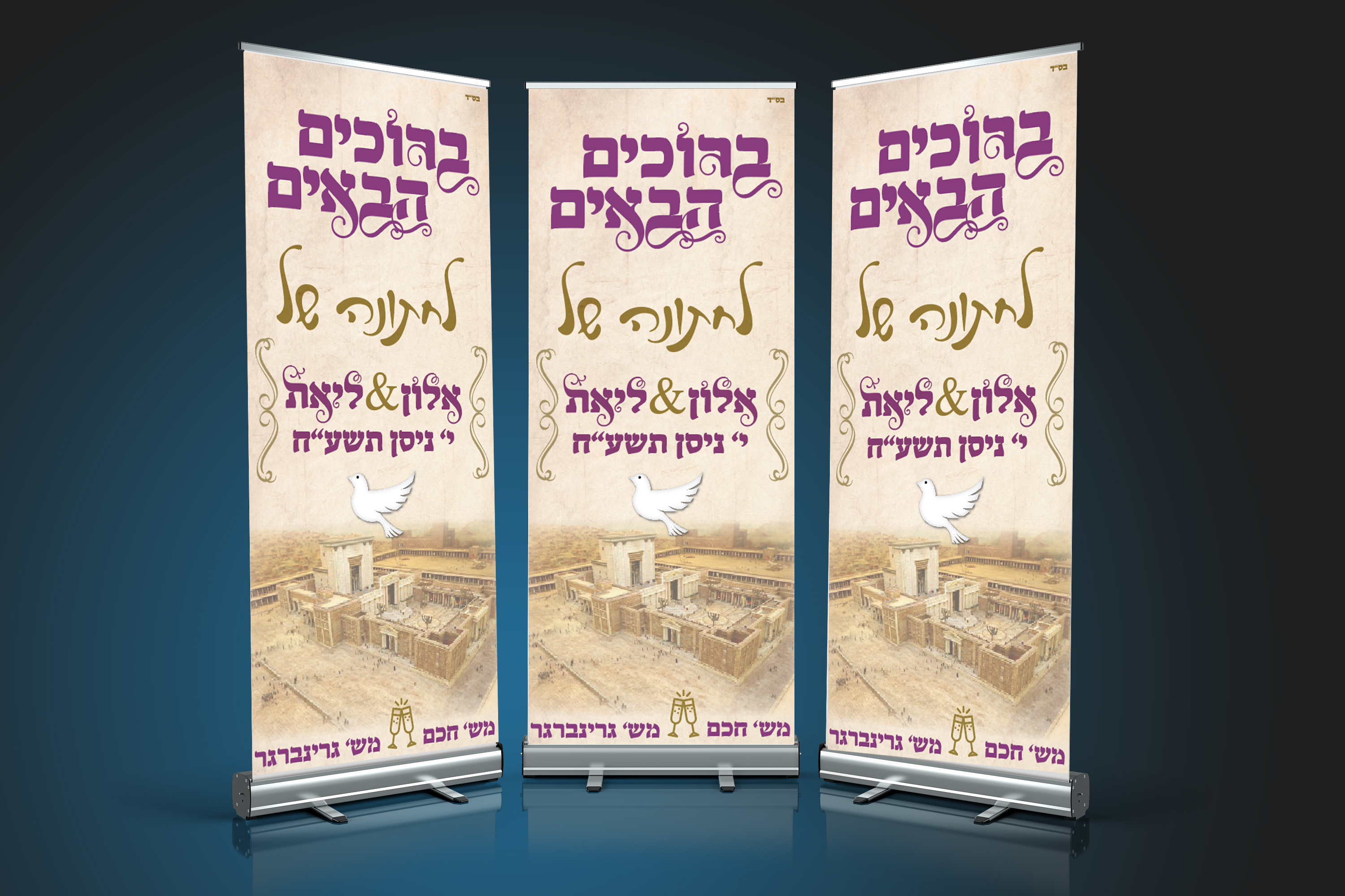 הדמיה-רולאפ