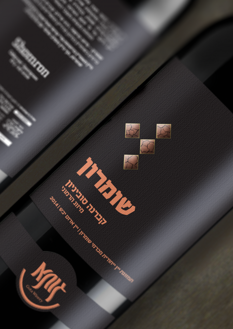 הדמיה שומרון