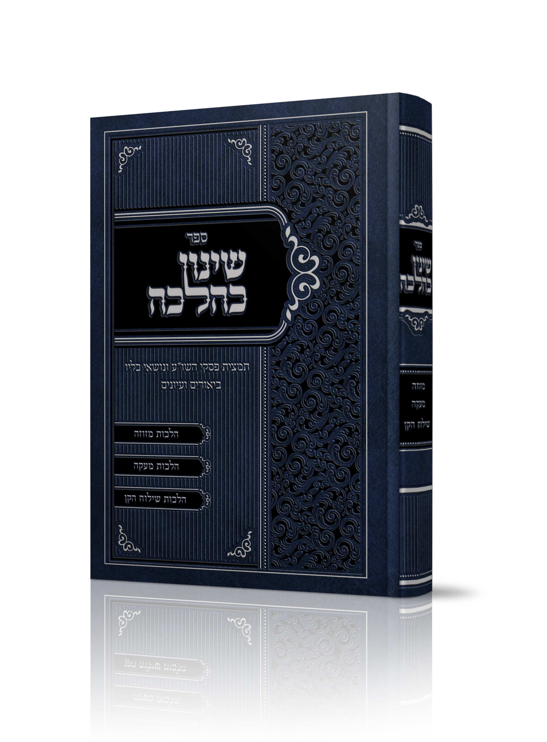 הדמיה שינון כהלכה.png