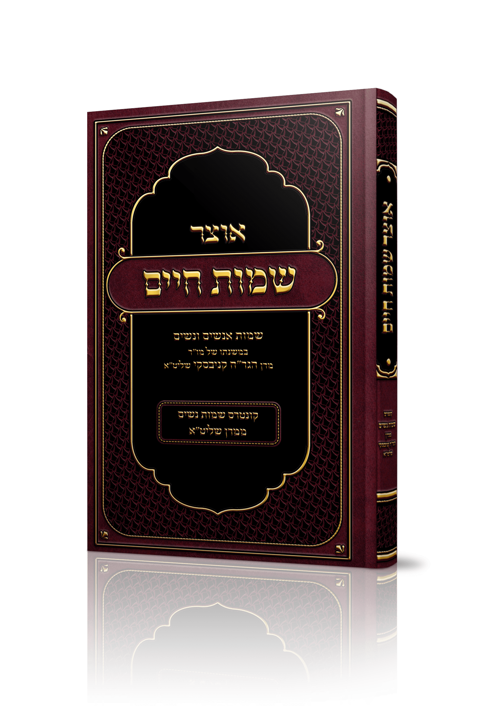 הדמיה שמות חיים.png