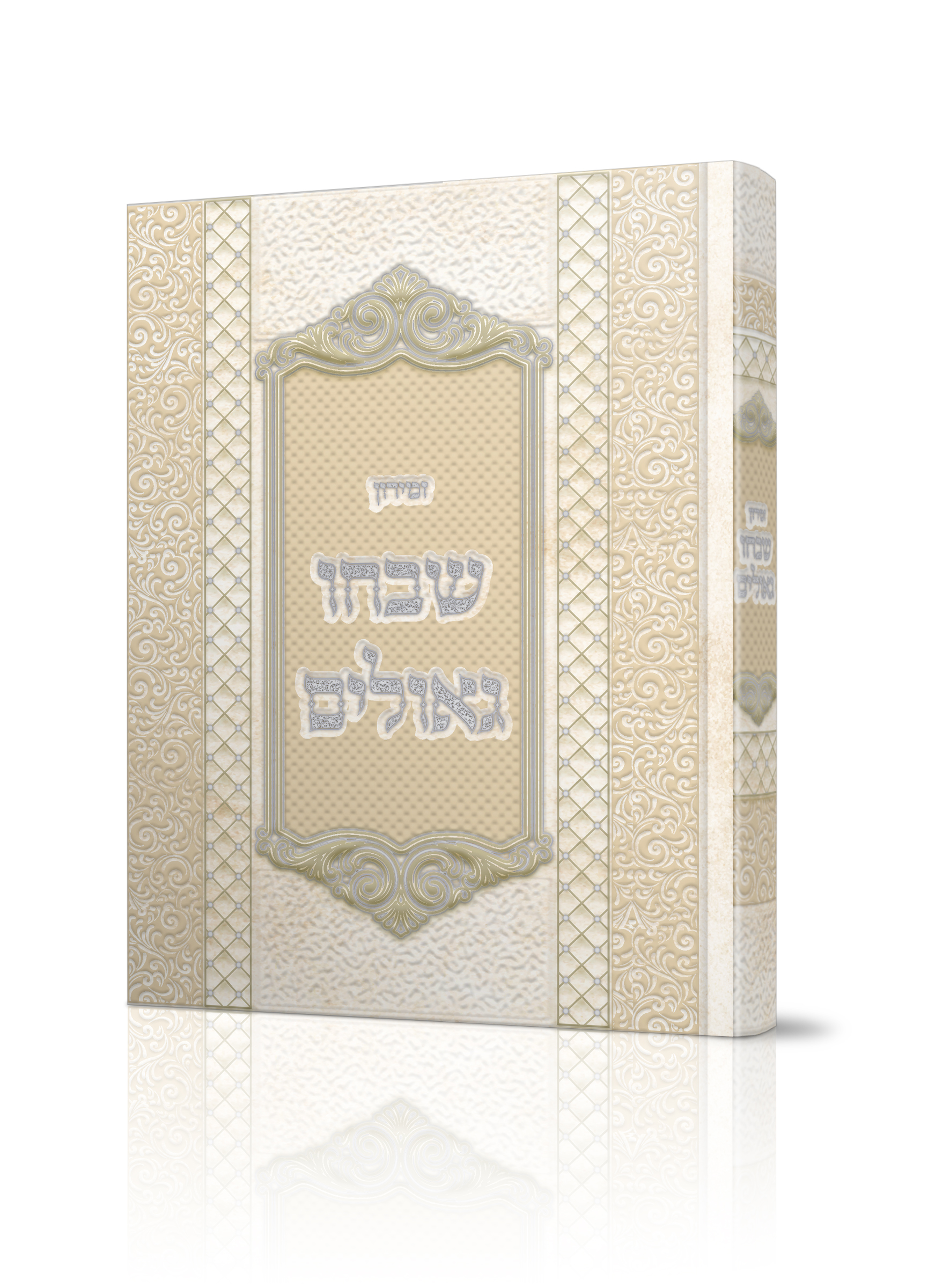 הדמיה שמנת.jpg