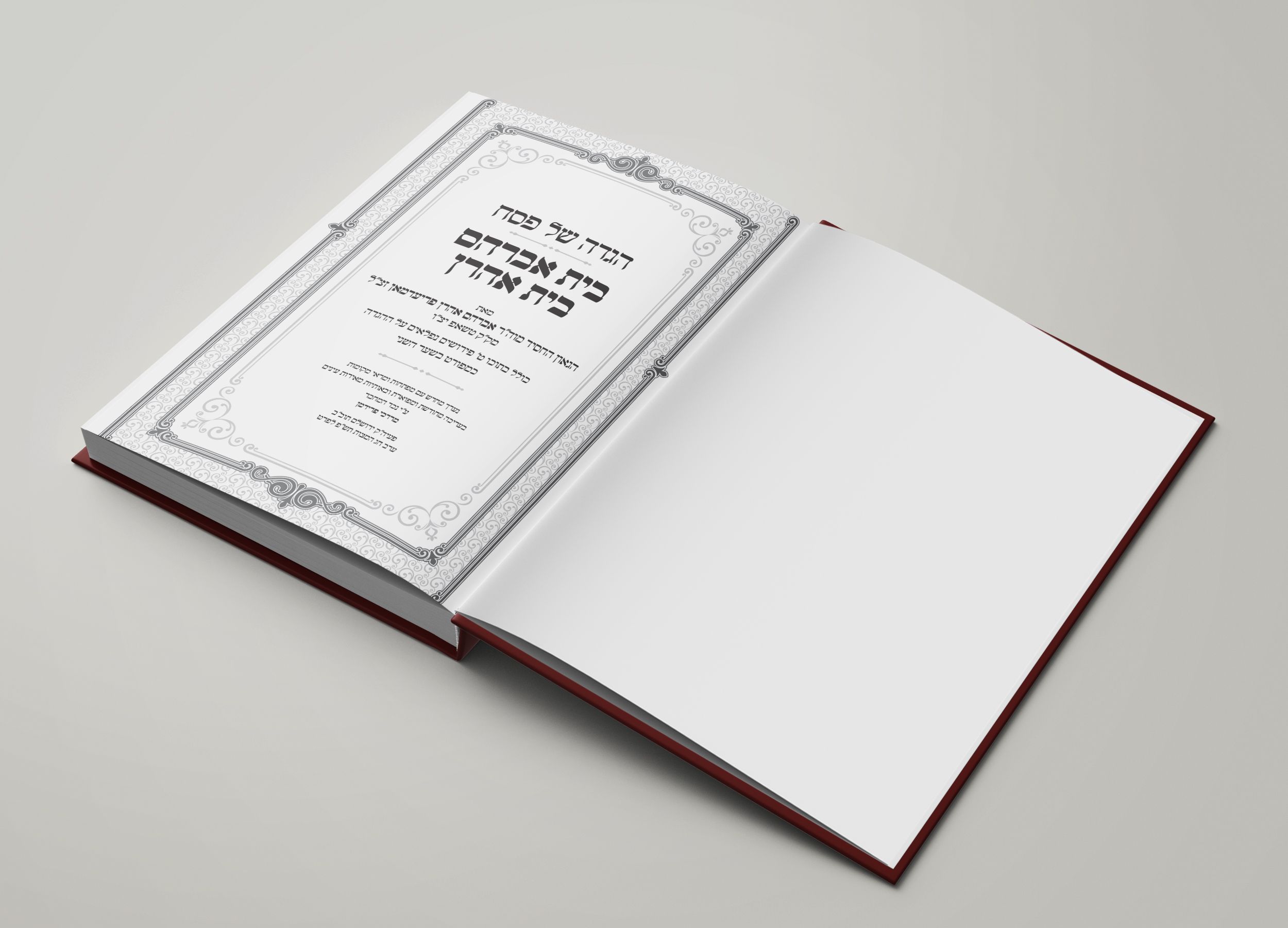 הדמיה שער.jpg