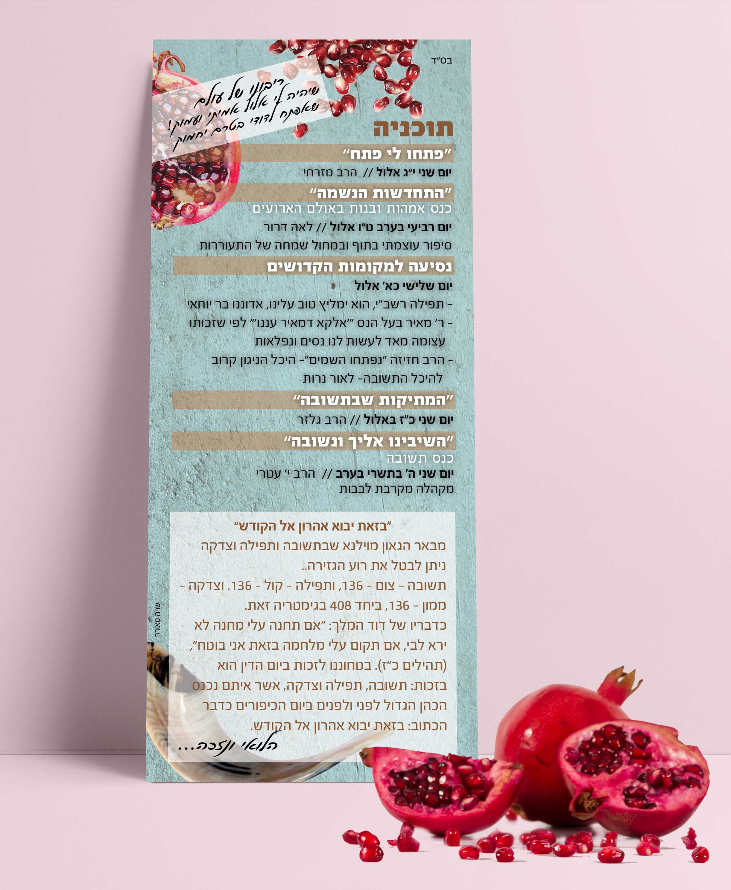 הדמיה תוכניה חגים