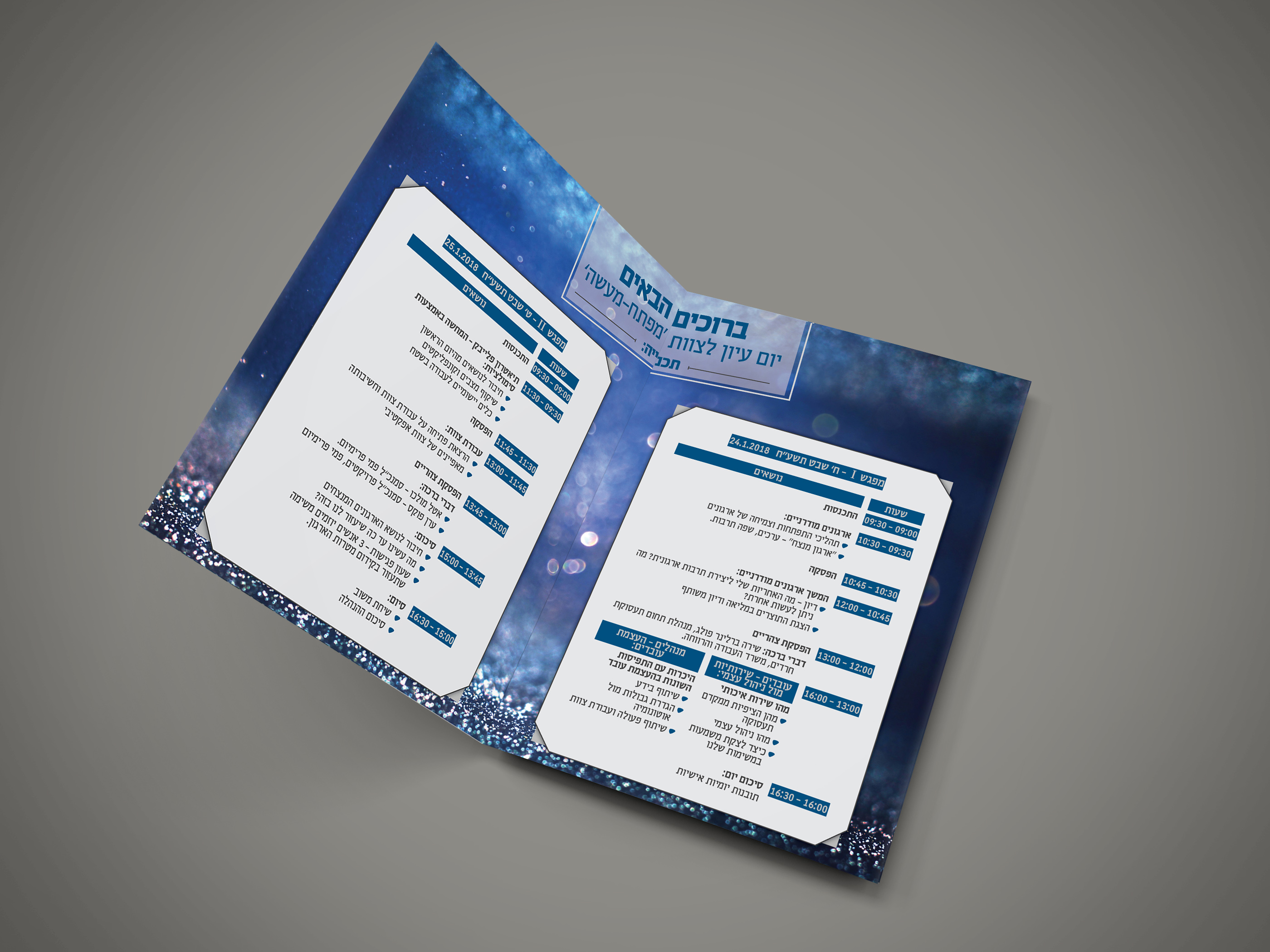 הדמיה תוכניה - יום עיון