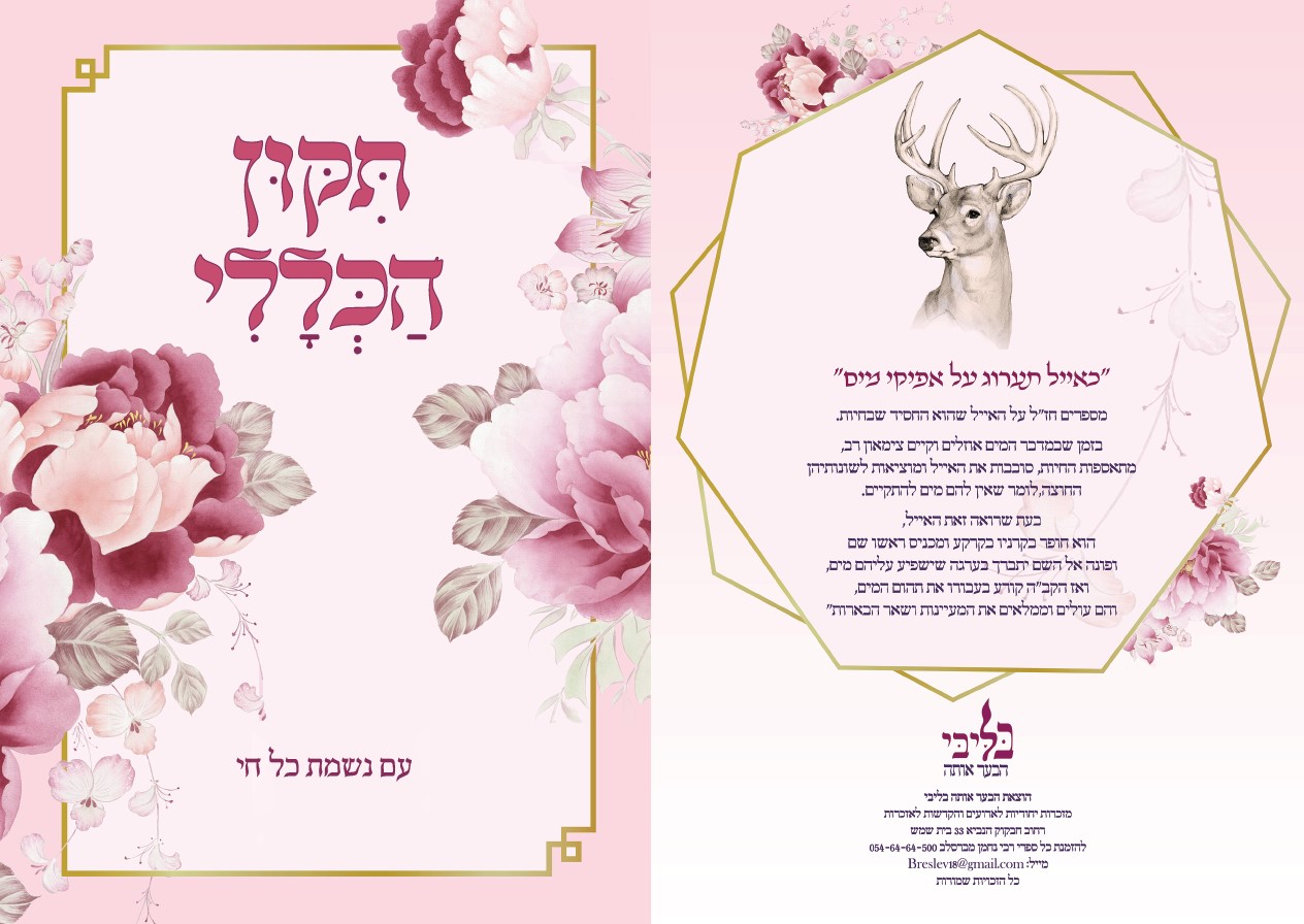 הדמיה תיקון הכללי (2).jpg