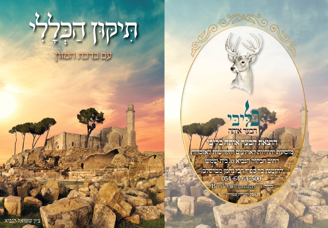 הדמיה תיקון הכללי.jpg