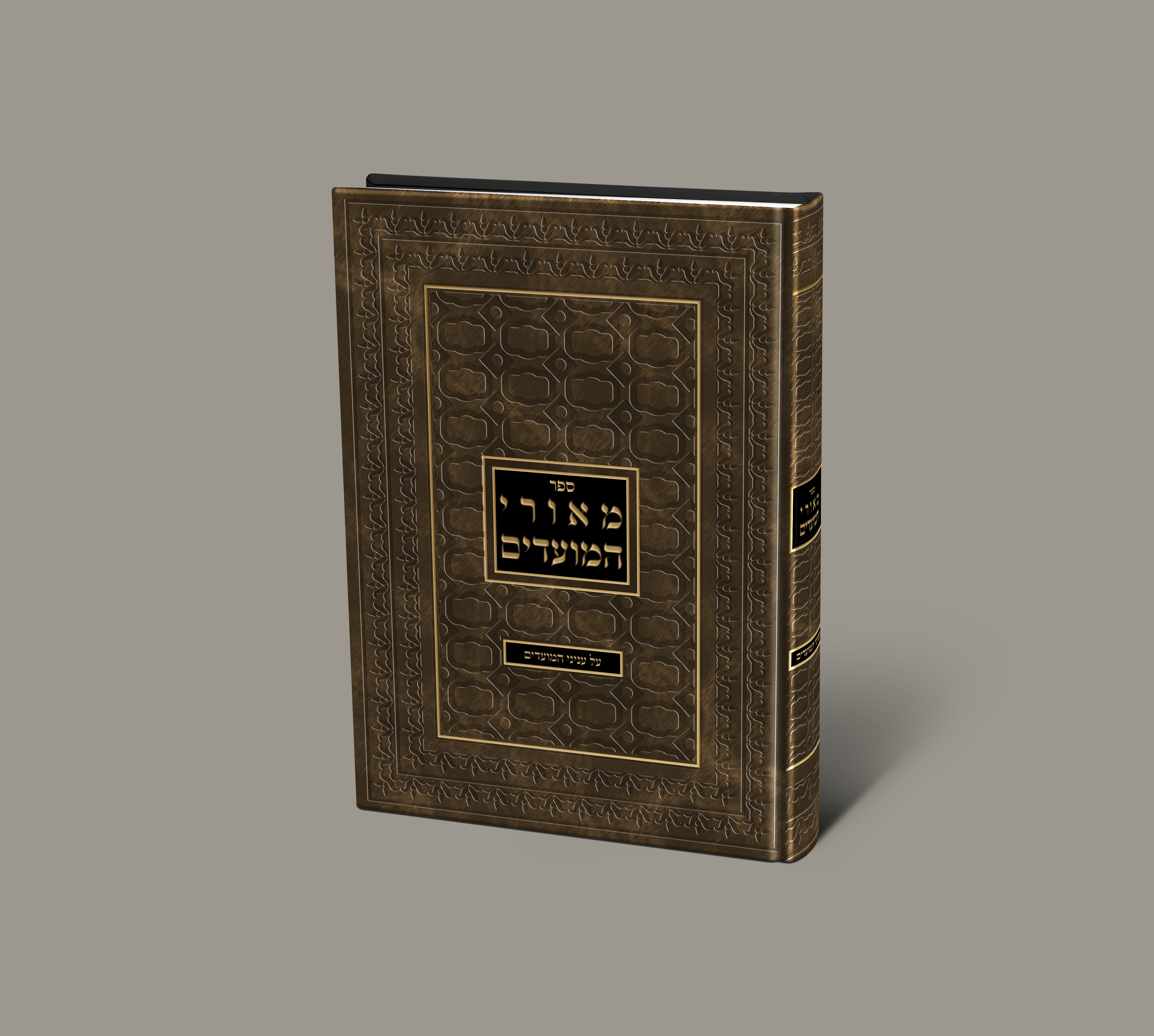 הדמיה 60 א.png