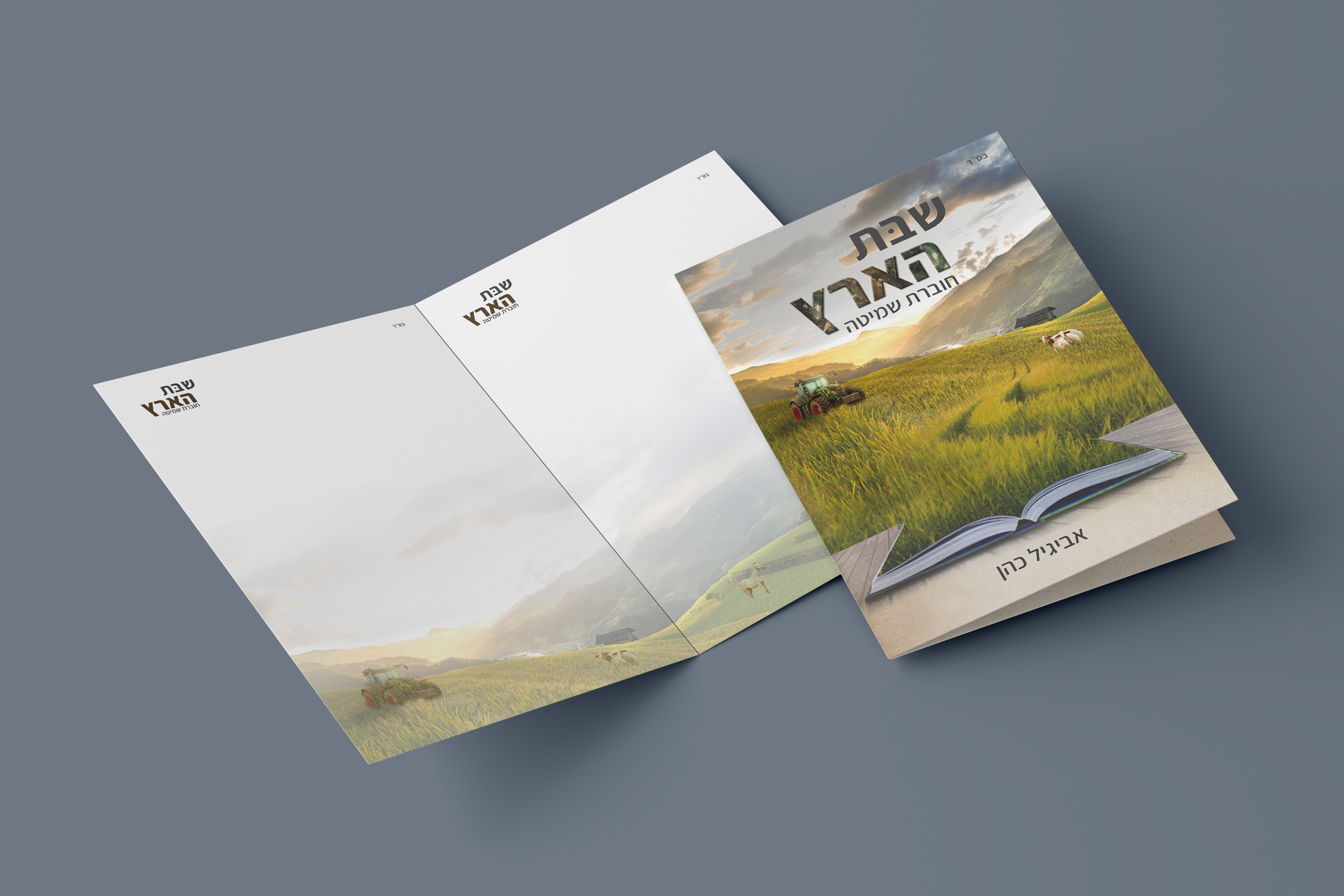 הדמייה חוברת.jpg