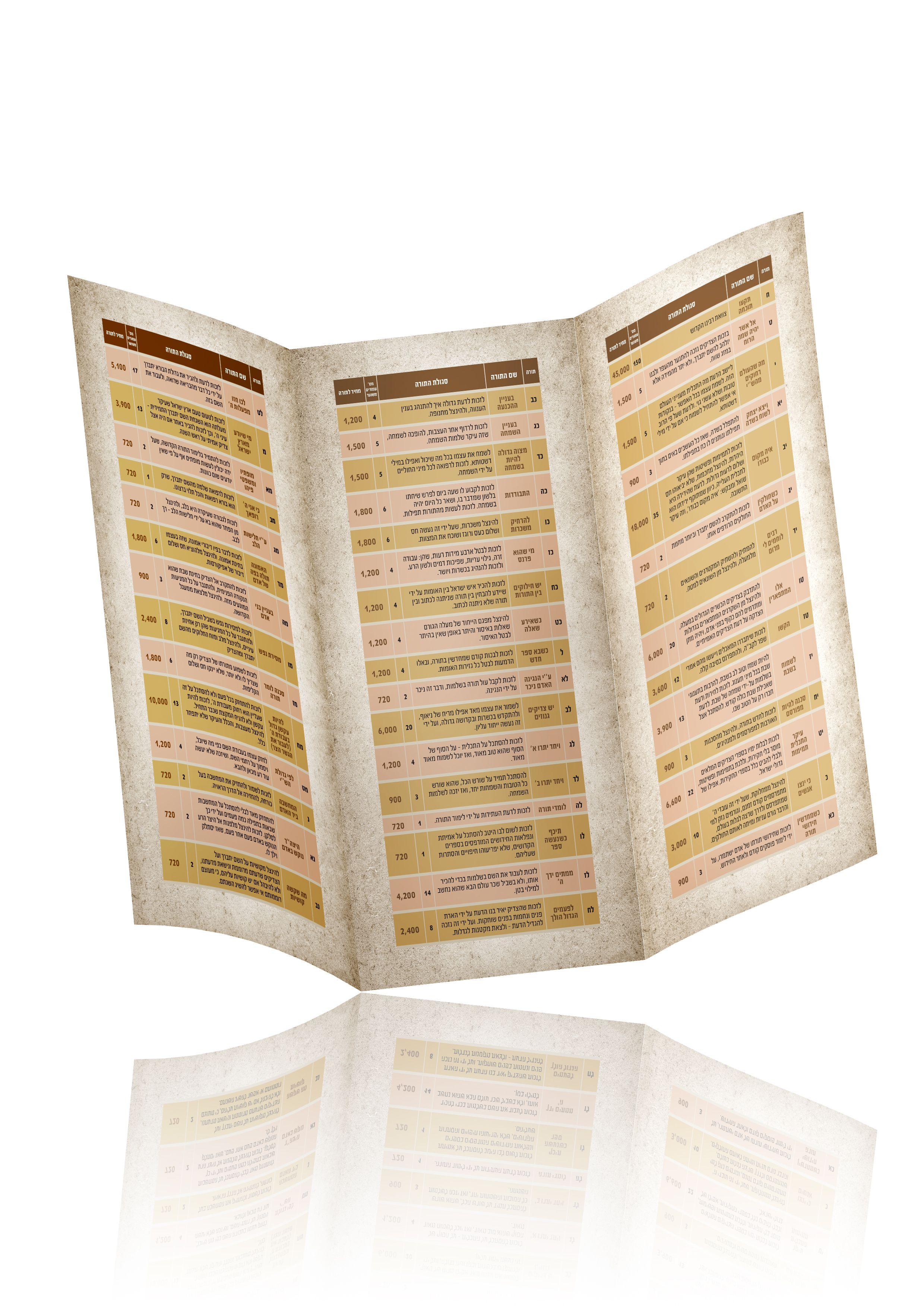 הדמייה טבלה.jpg