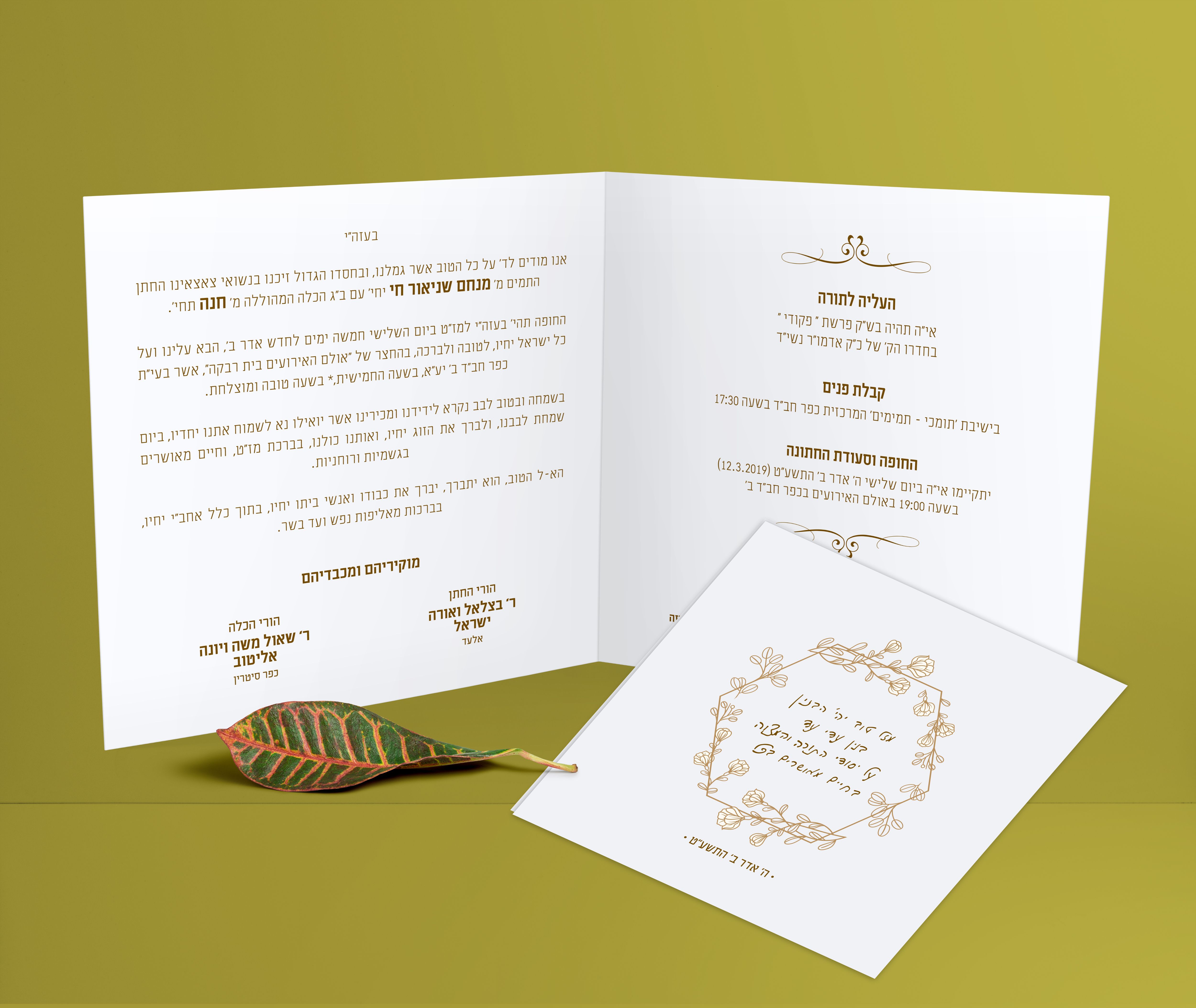 הדמייה ישראל.jpg