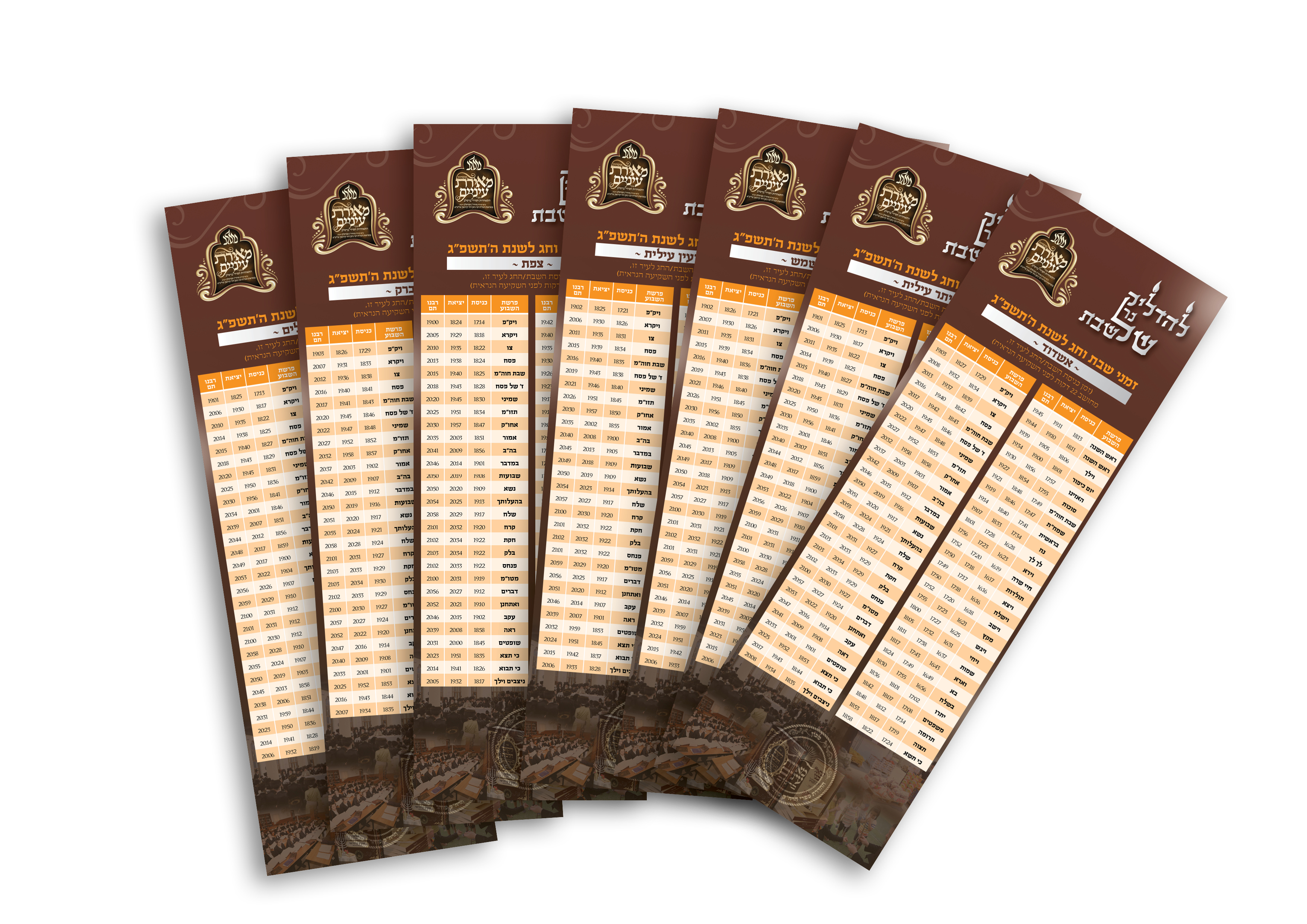 הדמייה מגנטים.jpg