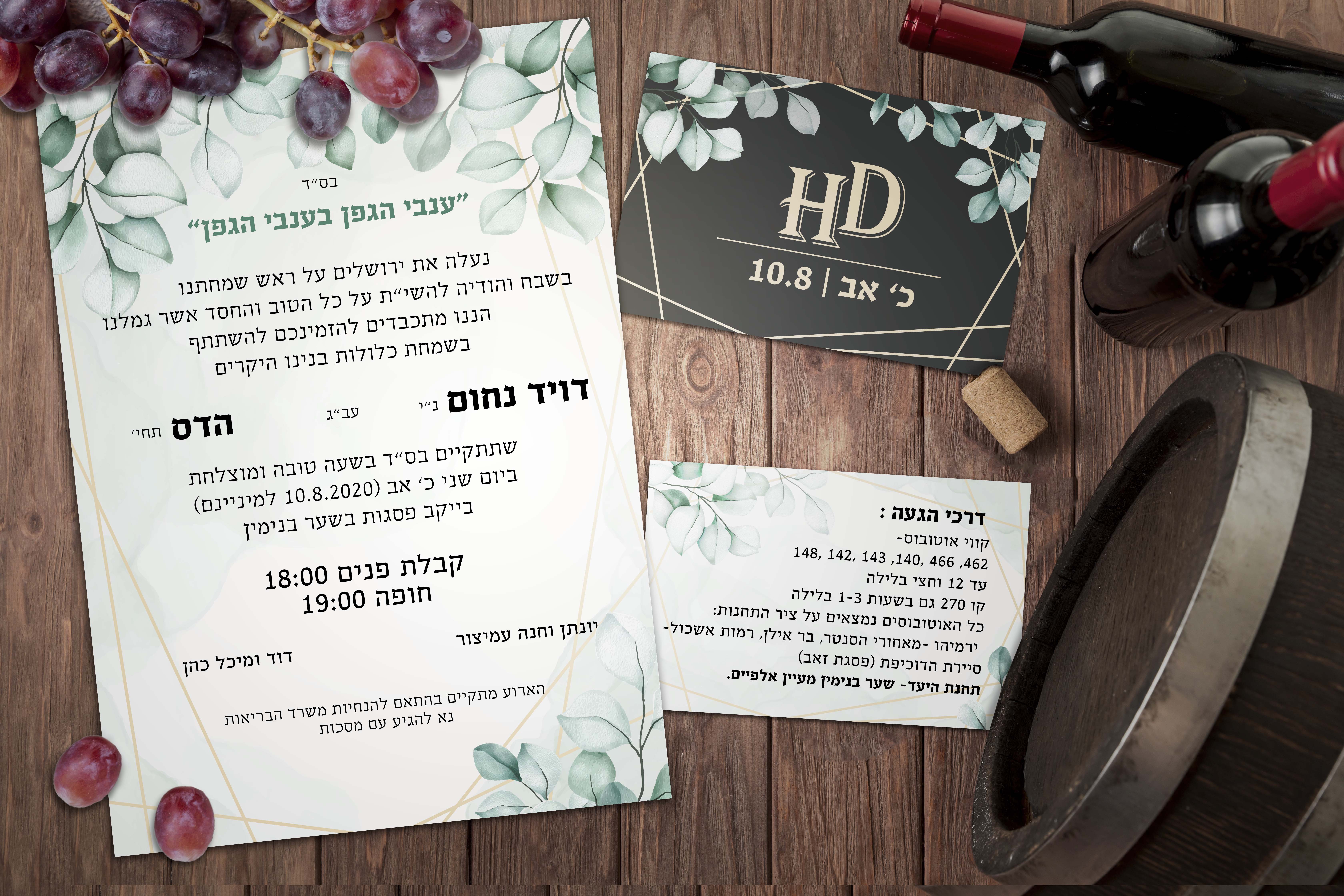 הדמייה סופית.jpg